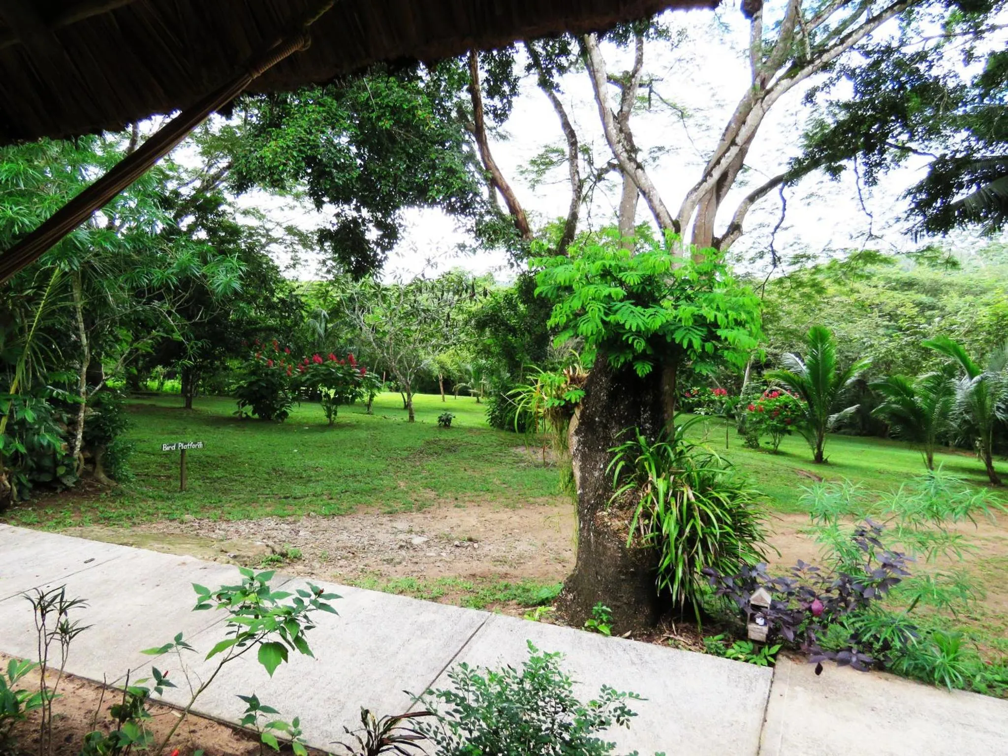 Garden in Crystal Paradise Resort