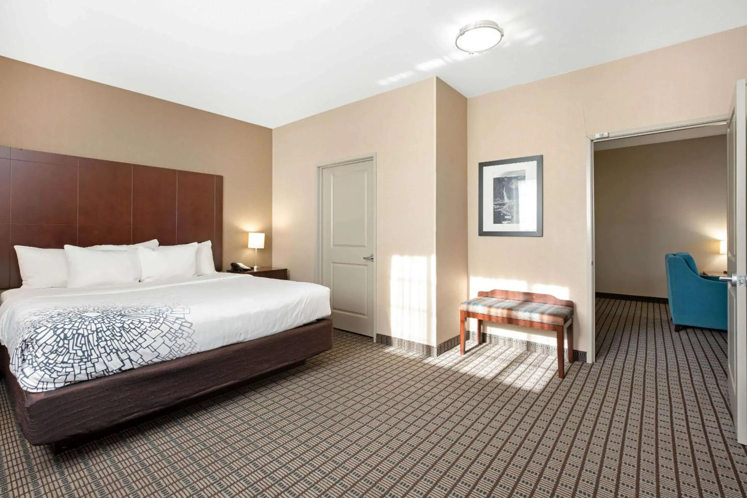 Photo of the whole room, Bed in La Quinta by Wyndham Bellingham Photo of the whole room, Bed in La Quinta by Wyndham Bellingham