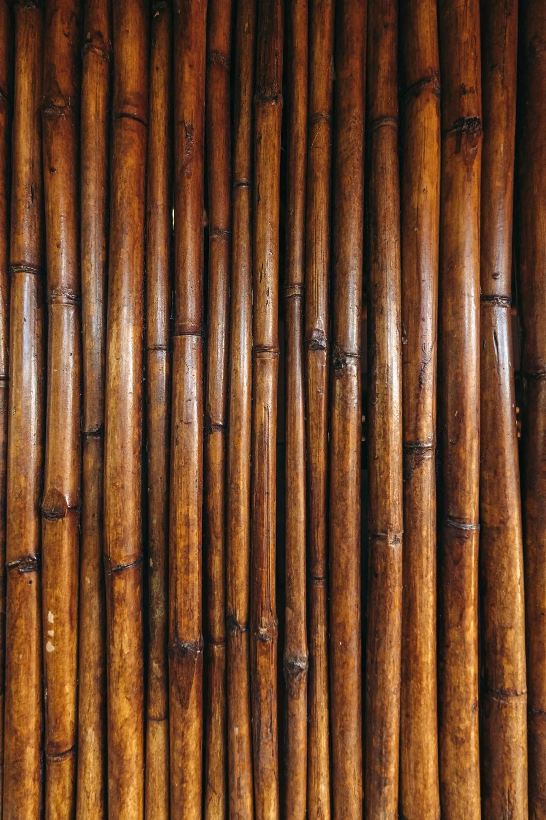 Junto al Rio Bungalows & Suites