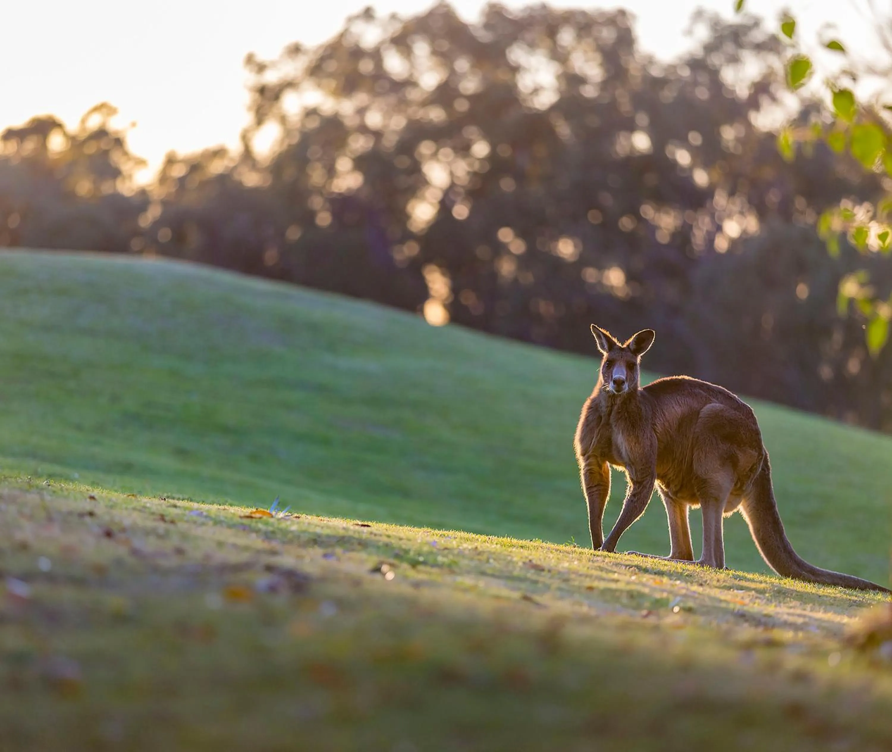 Property building in Oaks Cypress Lakes Resort