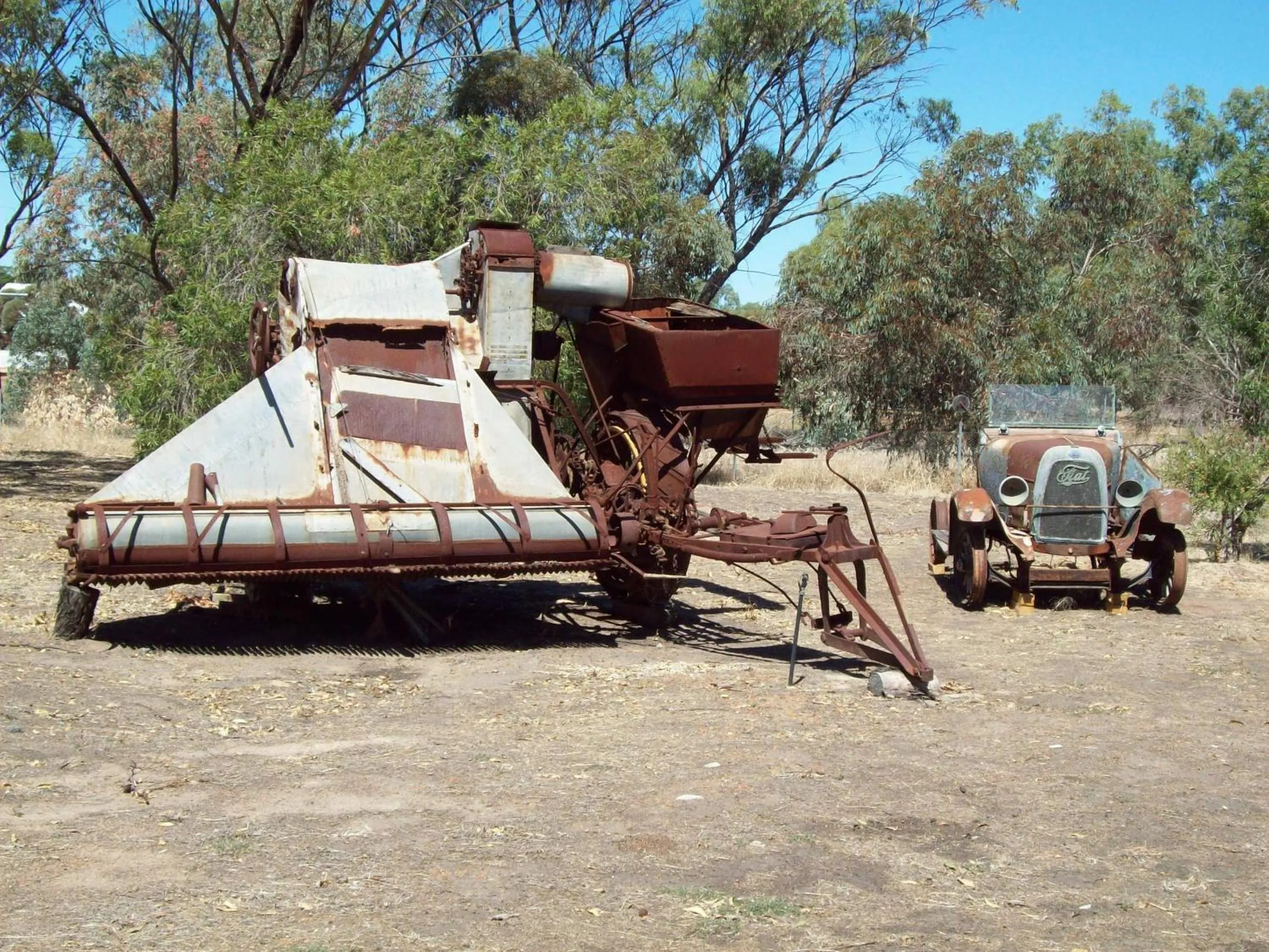 Garden in York's Boutique Motel
