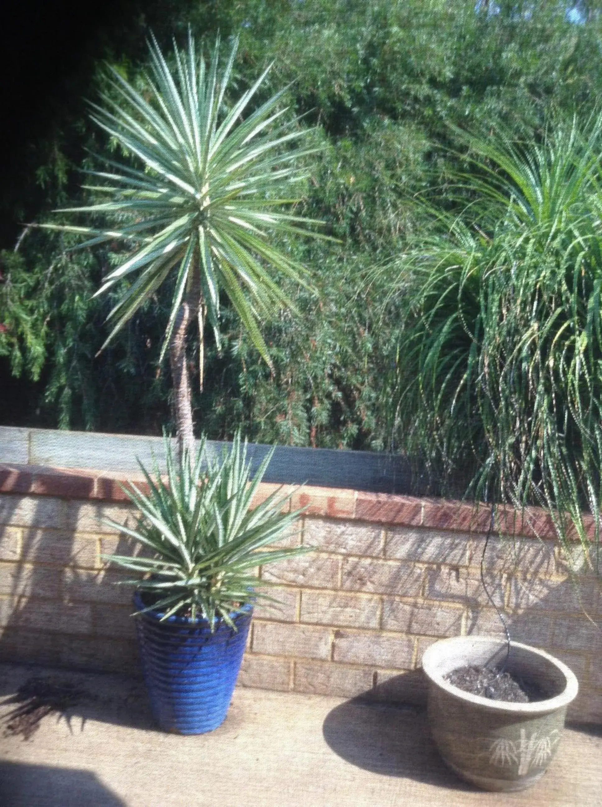 Facade/entrance in York's Boutique Motel Facade/entrance in York's Boutique Motel