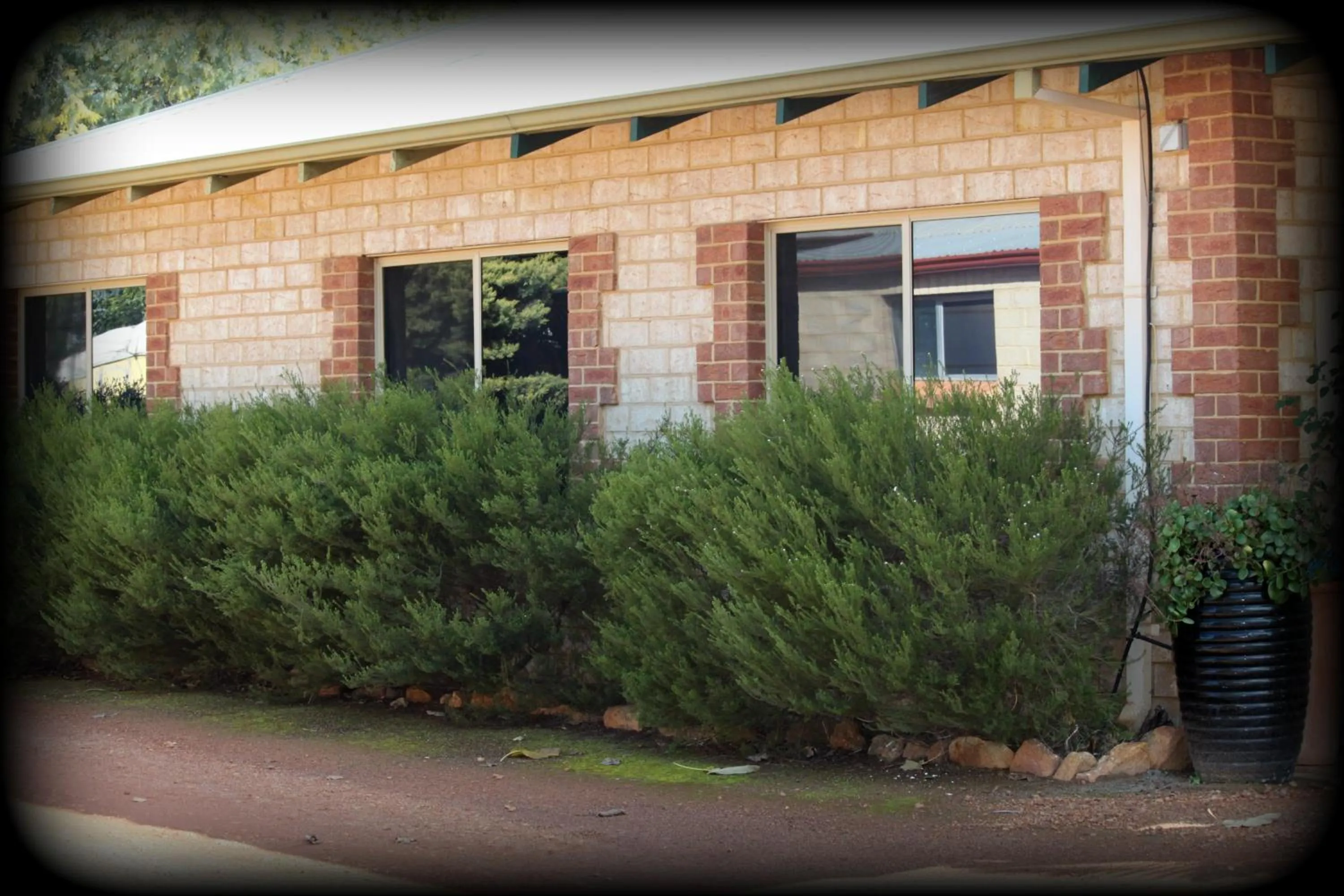 Garden in York's Boutique Motel