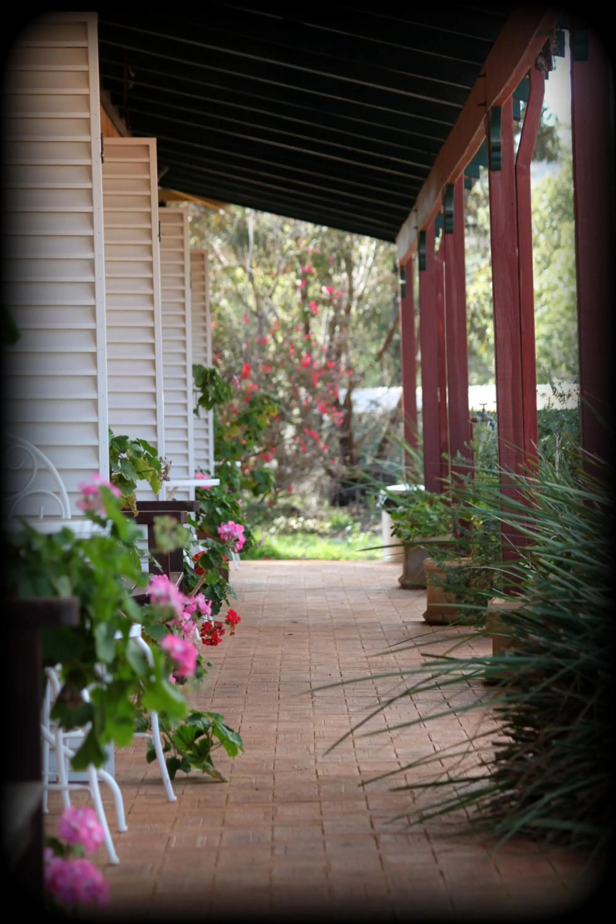 Balcony/Terrace in York's Boutique Motel