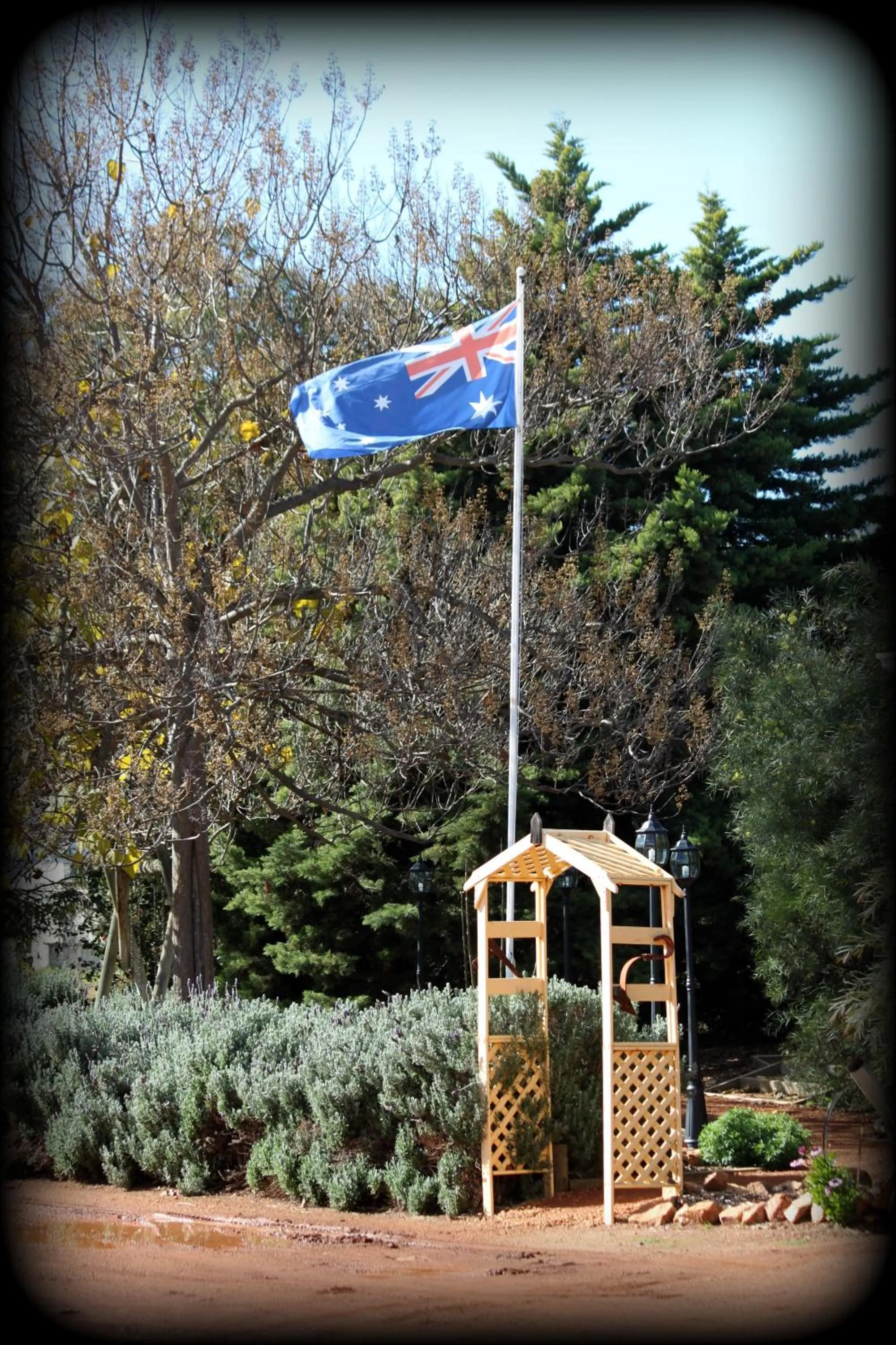 Garden in York's Boutique Motel