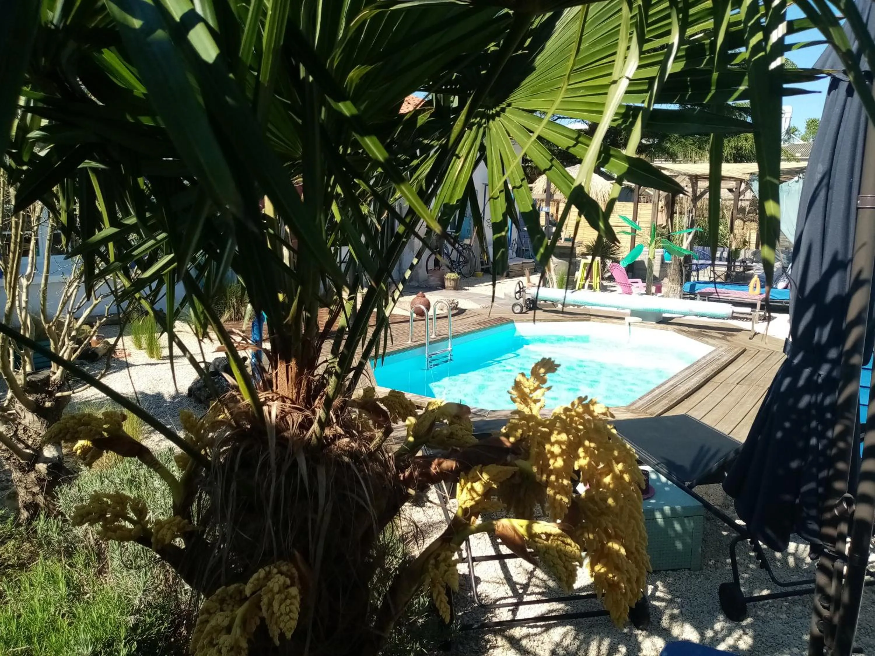 Swimming pool in La Norélie