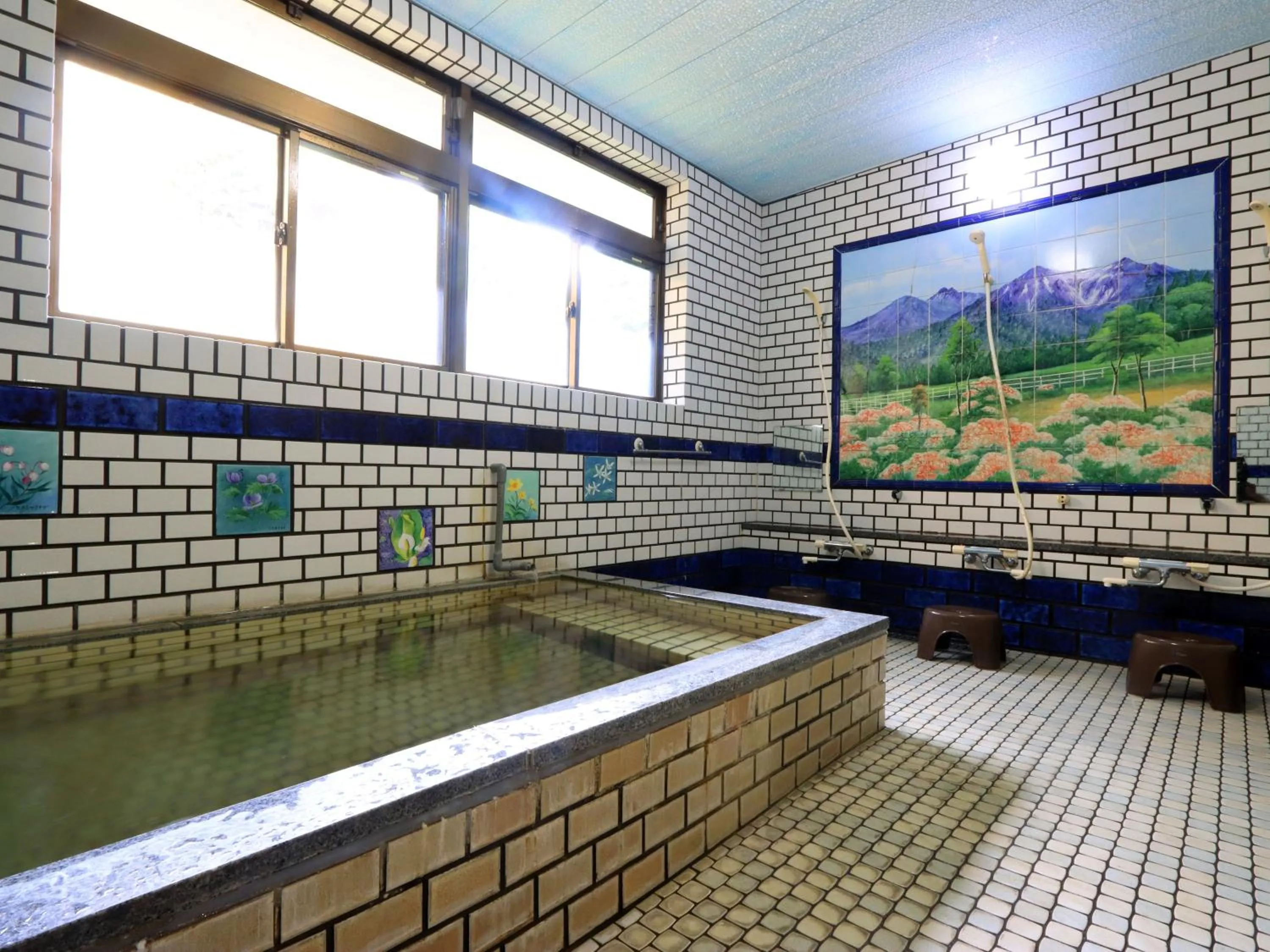 Hot Spring Bath in Hanasaku Onsen Yoshiyaso