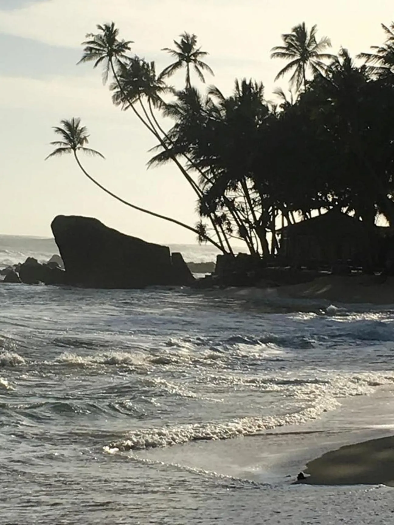 Beach in Sergeant House Boutique Villa & Private Beach