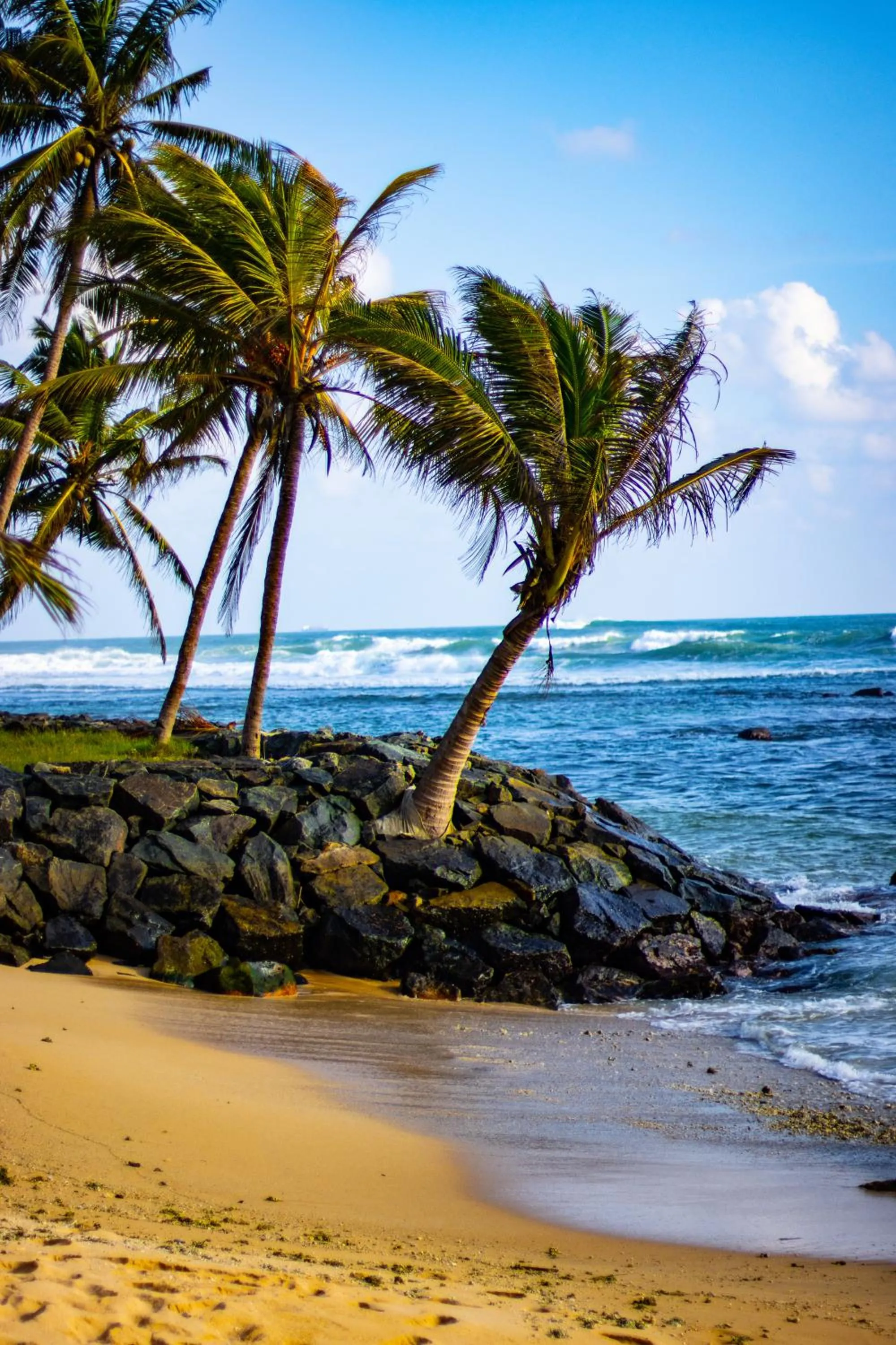Beach in Sergeant House Boutique Villa & Private Beach
