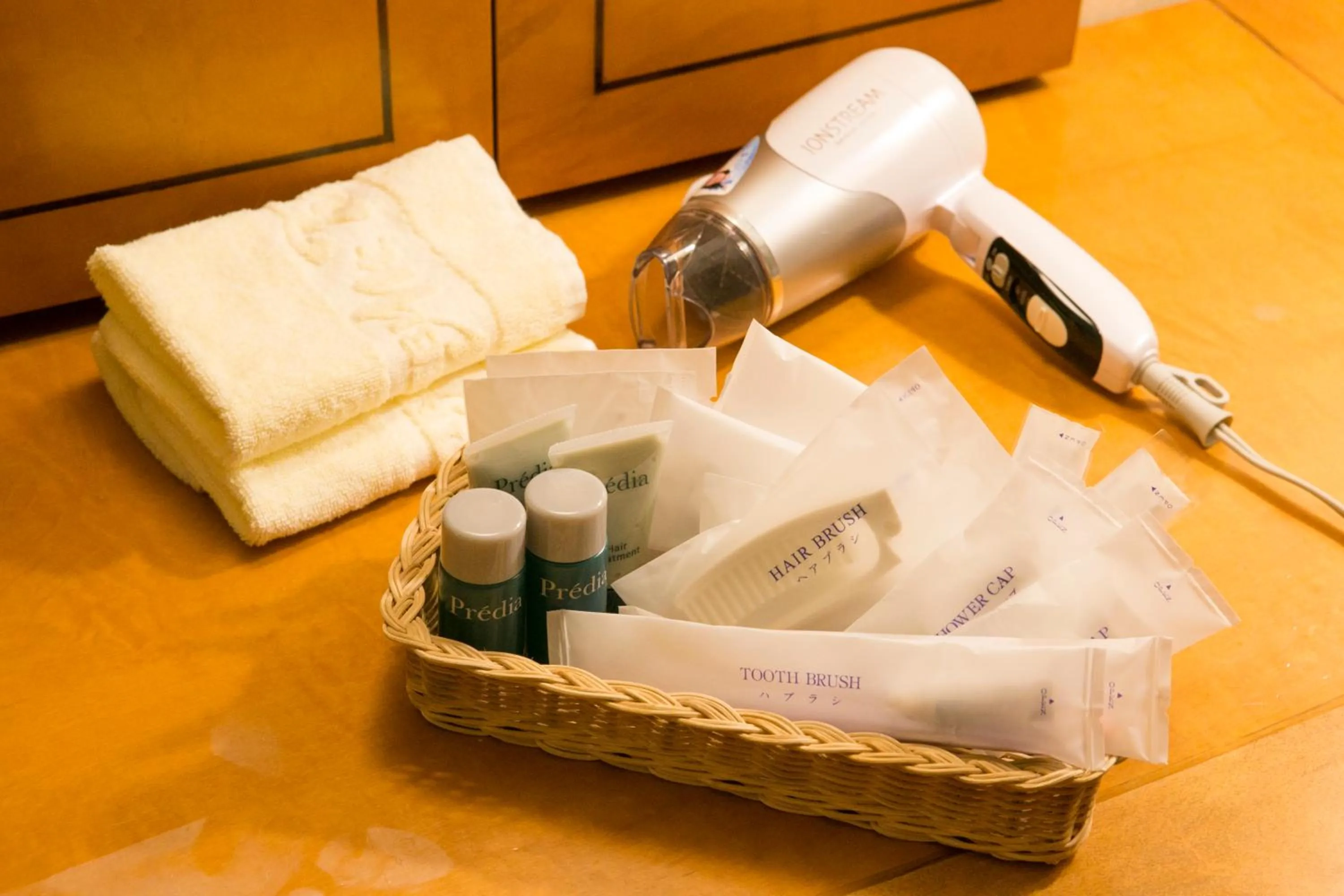 Other in Hotel Mt. Fuji