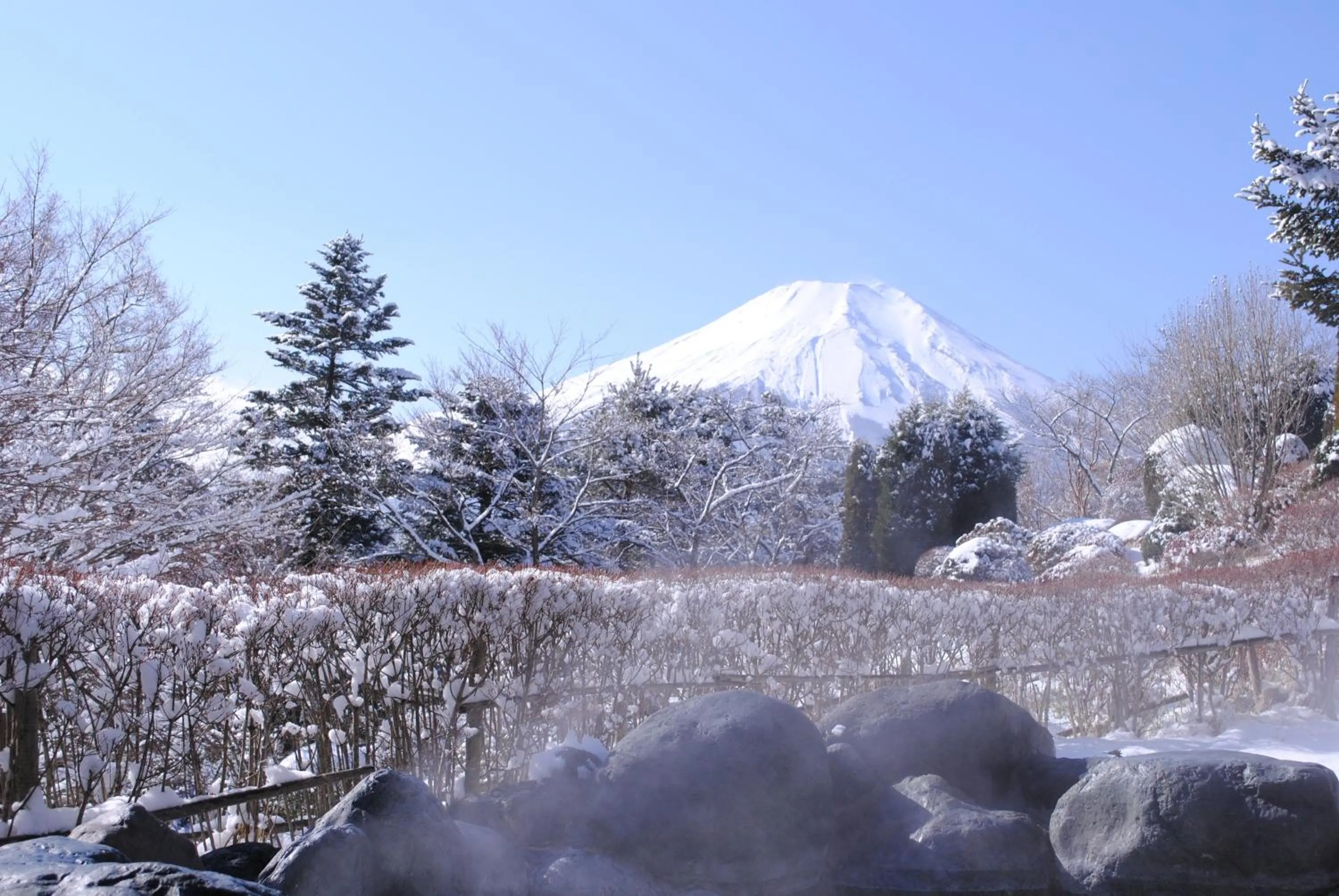 Winter in Hotel Mt. Fuji