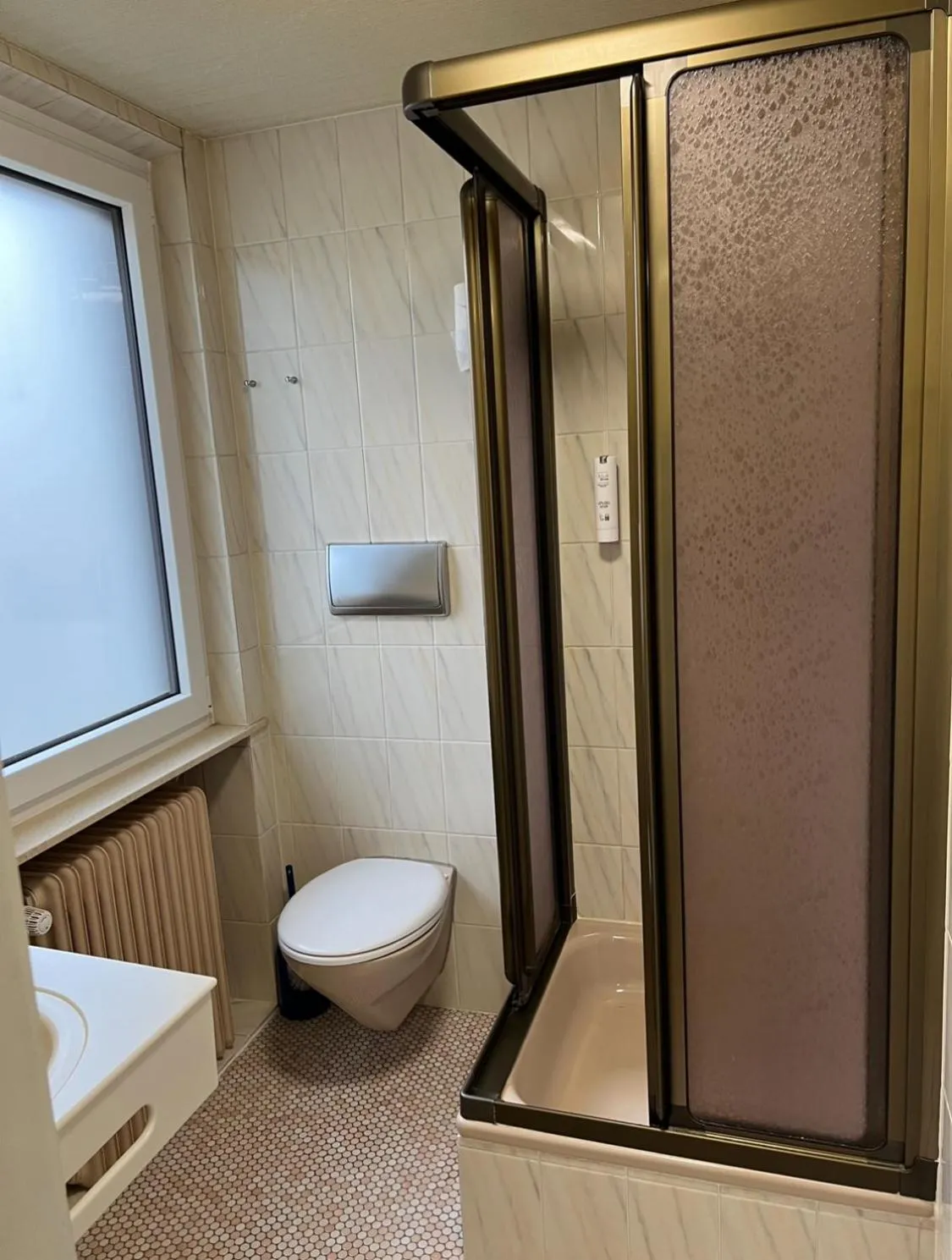 Toilet in Hotel Wilder Mann