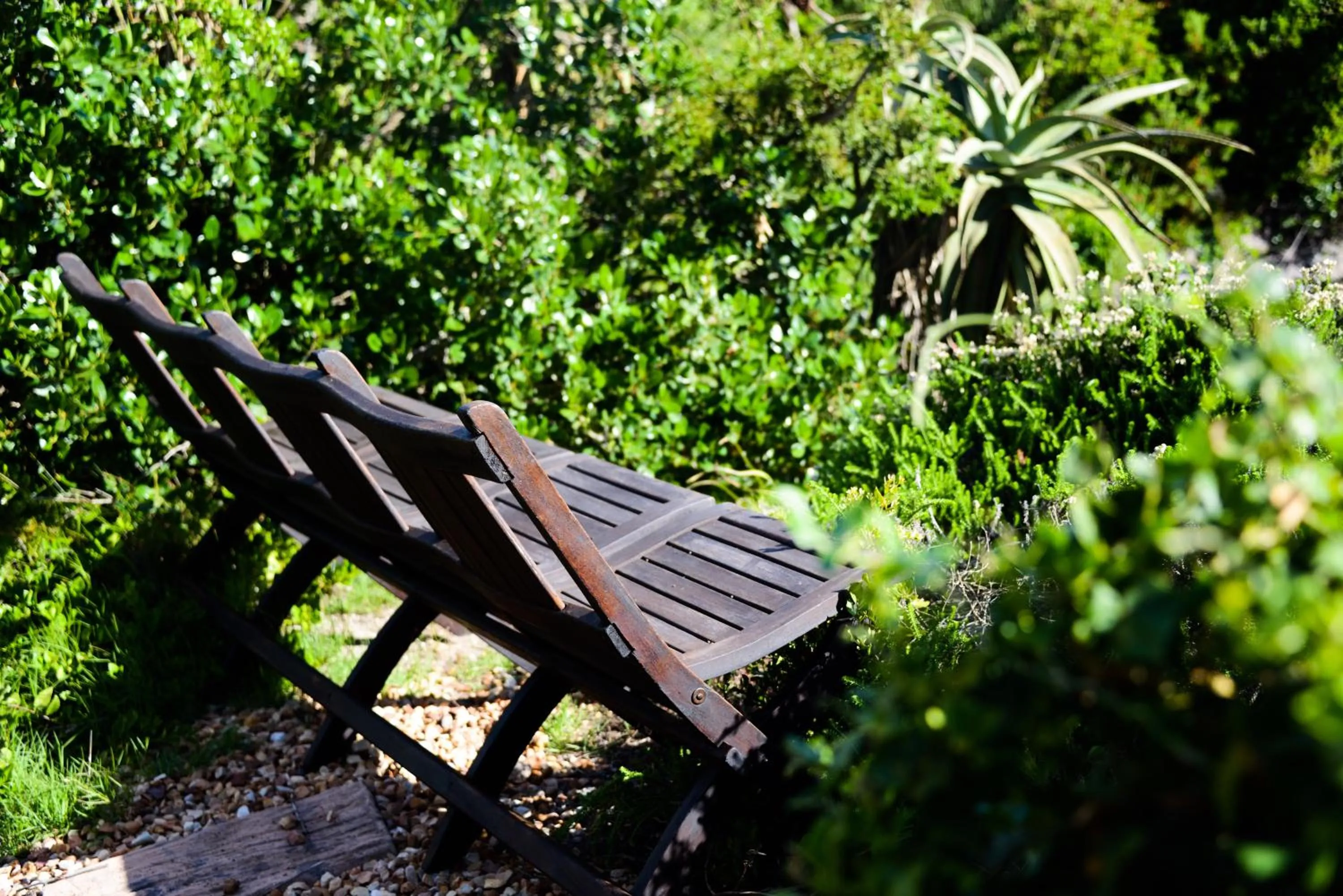 Garden in Dio Dell Amore Guest House