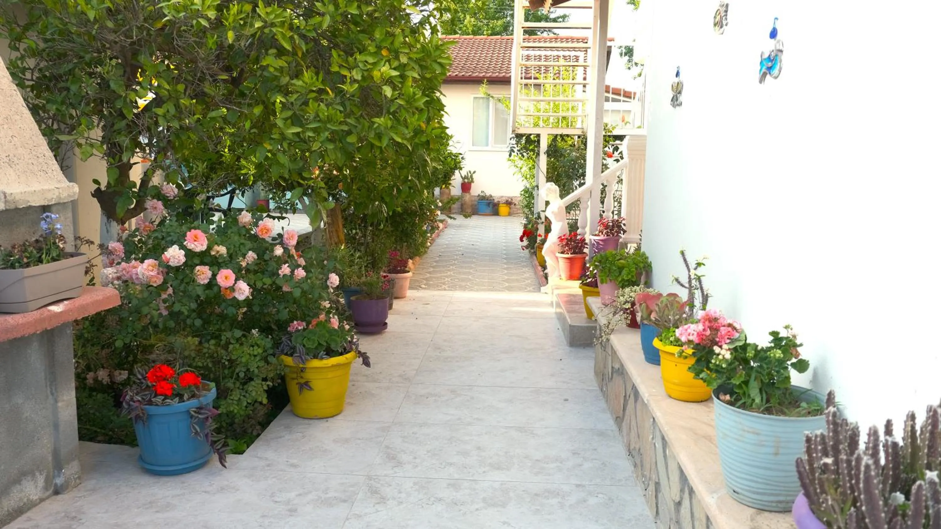 Garden in Casablanca Hotel