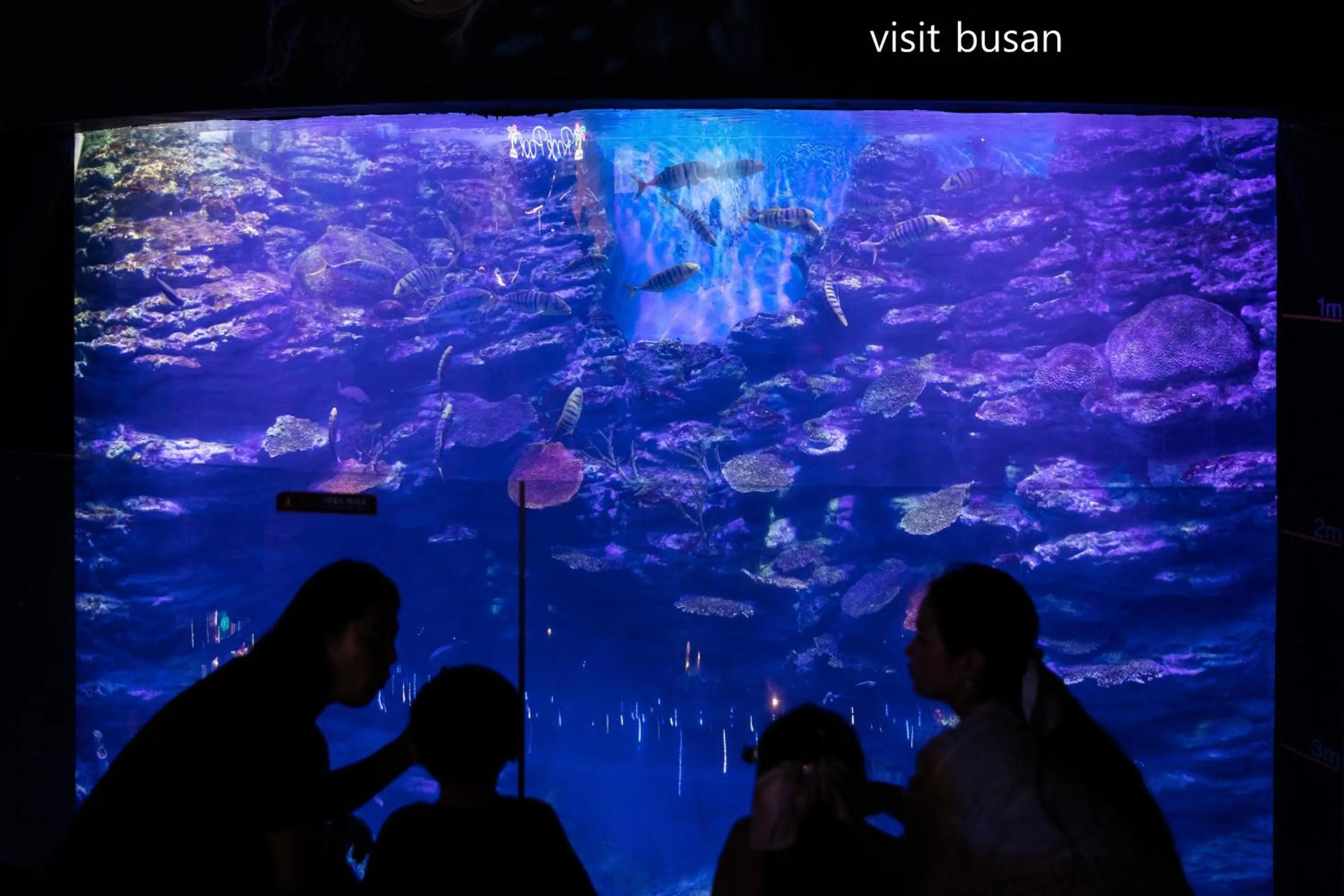 Nearby landmark in Best Louis Hamilton Hotel Haeundae