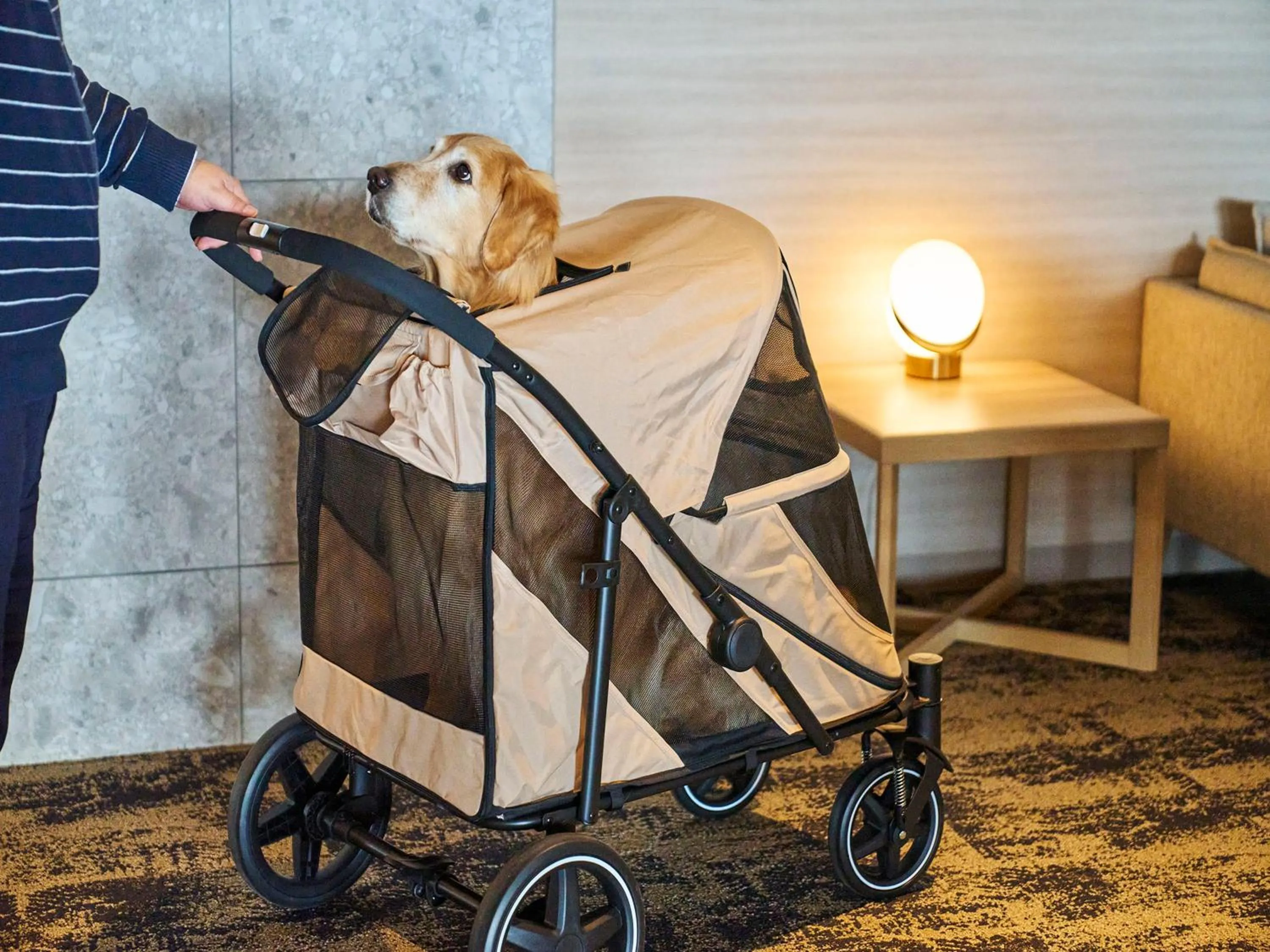 Animals in Irago Ocean Resort