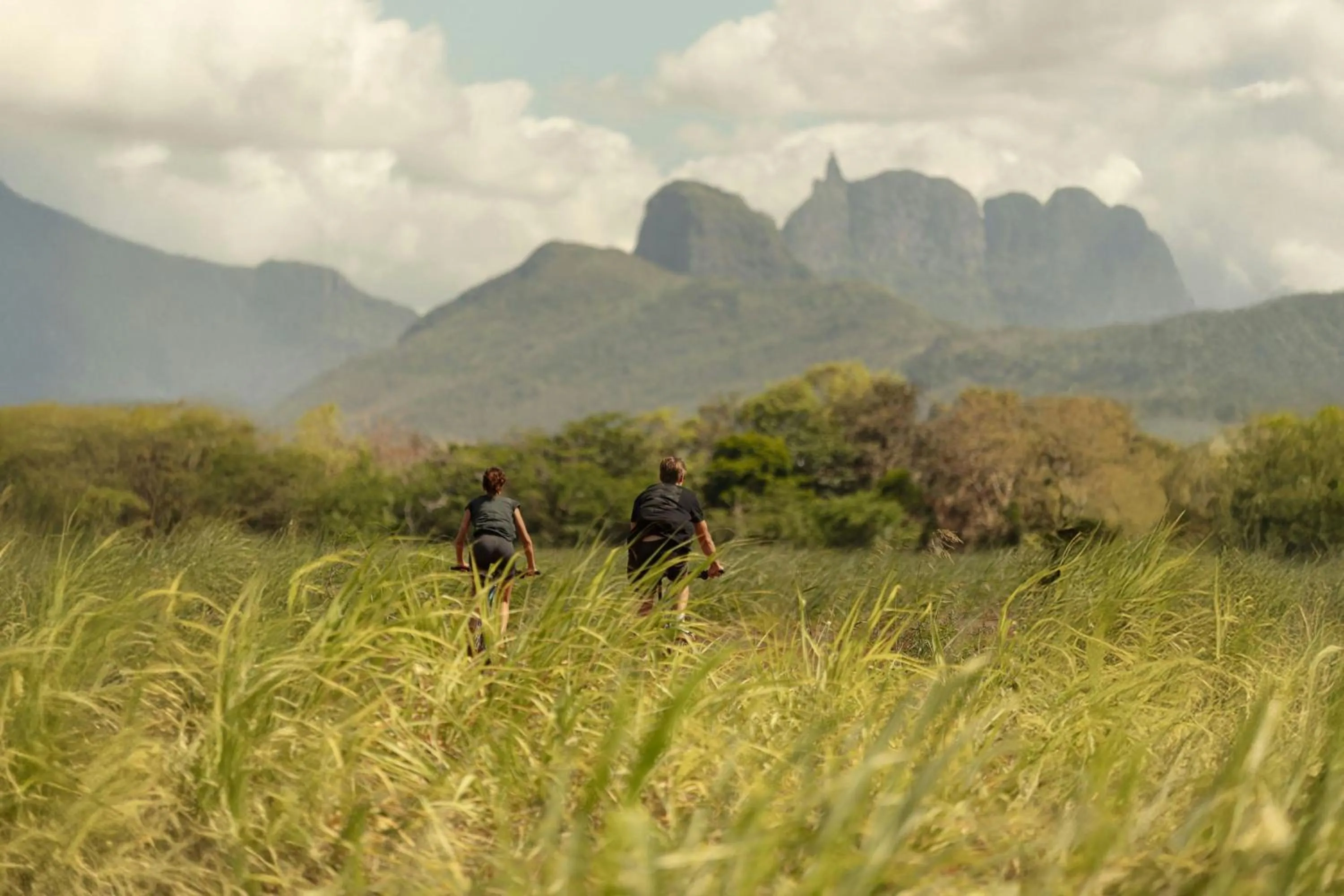 Other in The Westin Turtle Bay Resort & Spa, Mauritius