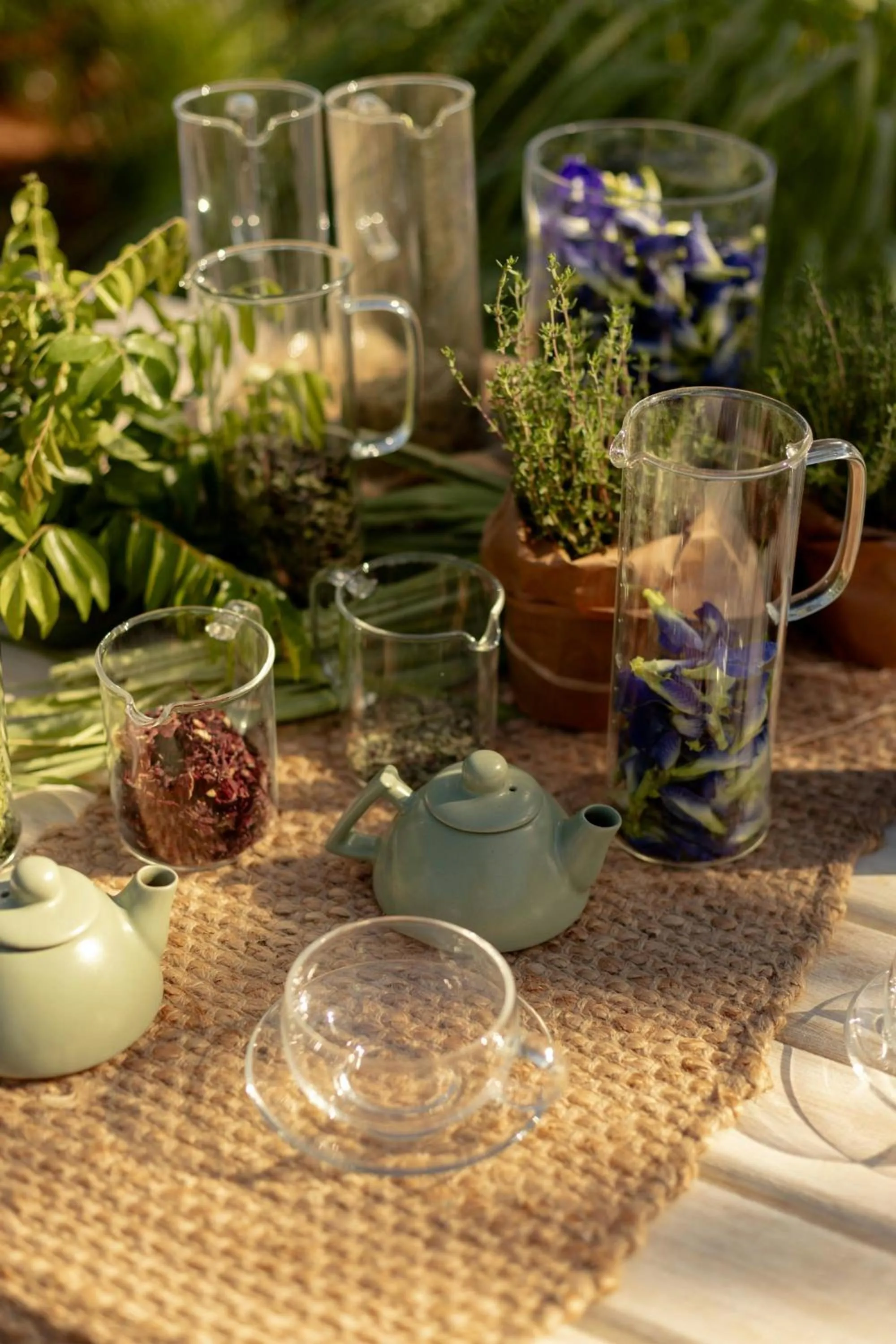 Other in The Westin Turtle Bay Resort & Spa, Mauritius