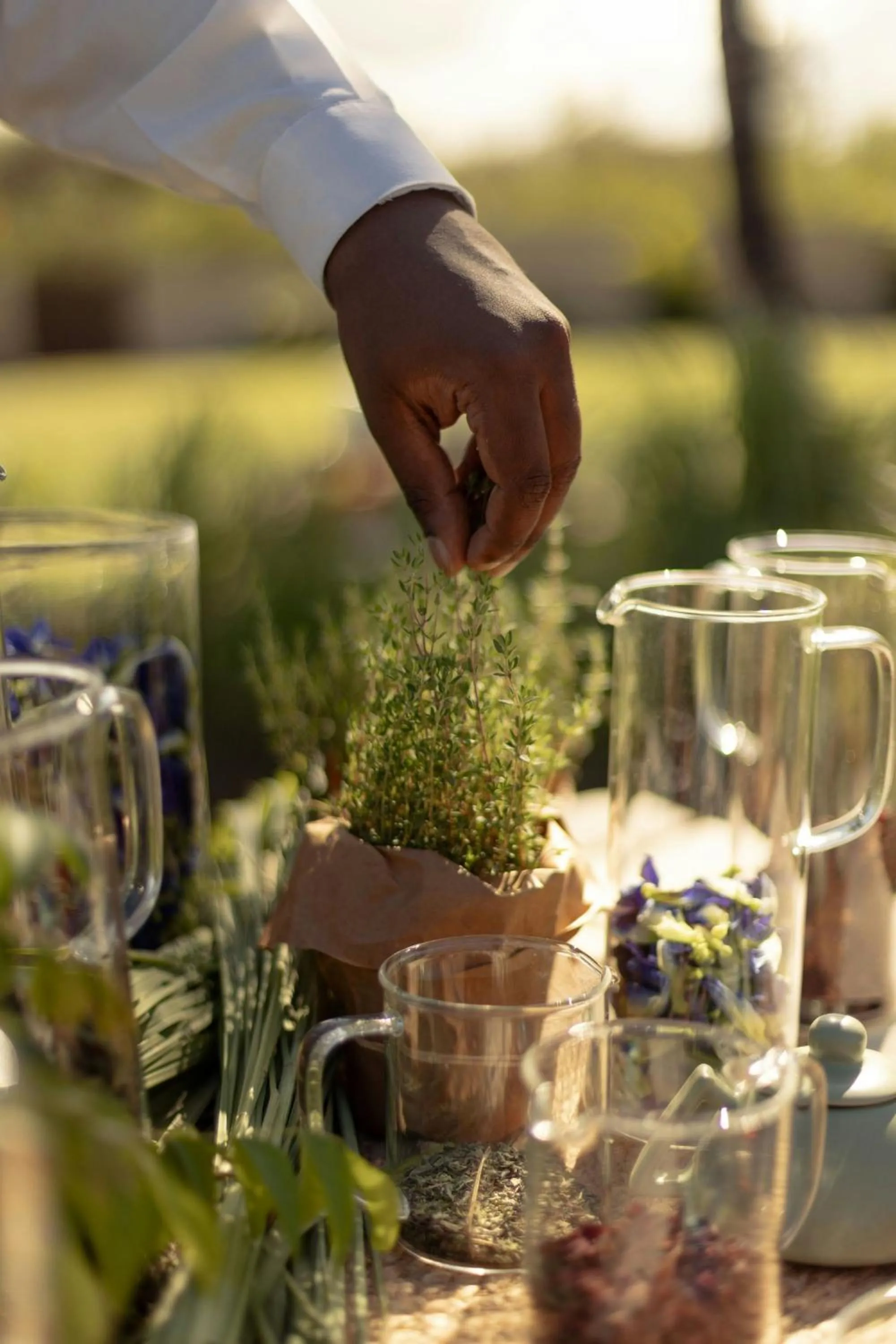 Other in The Westin Turtle Bay Resort & Spa, Mauritius