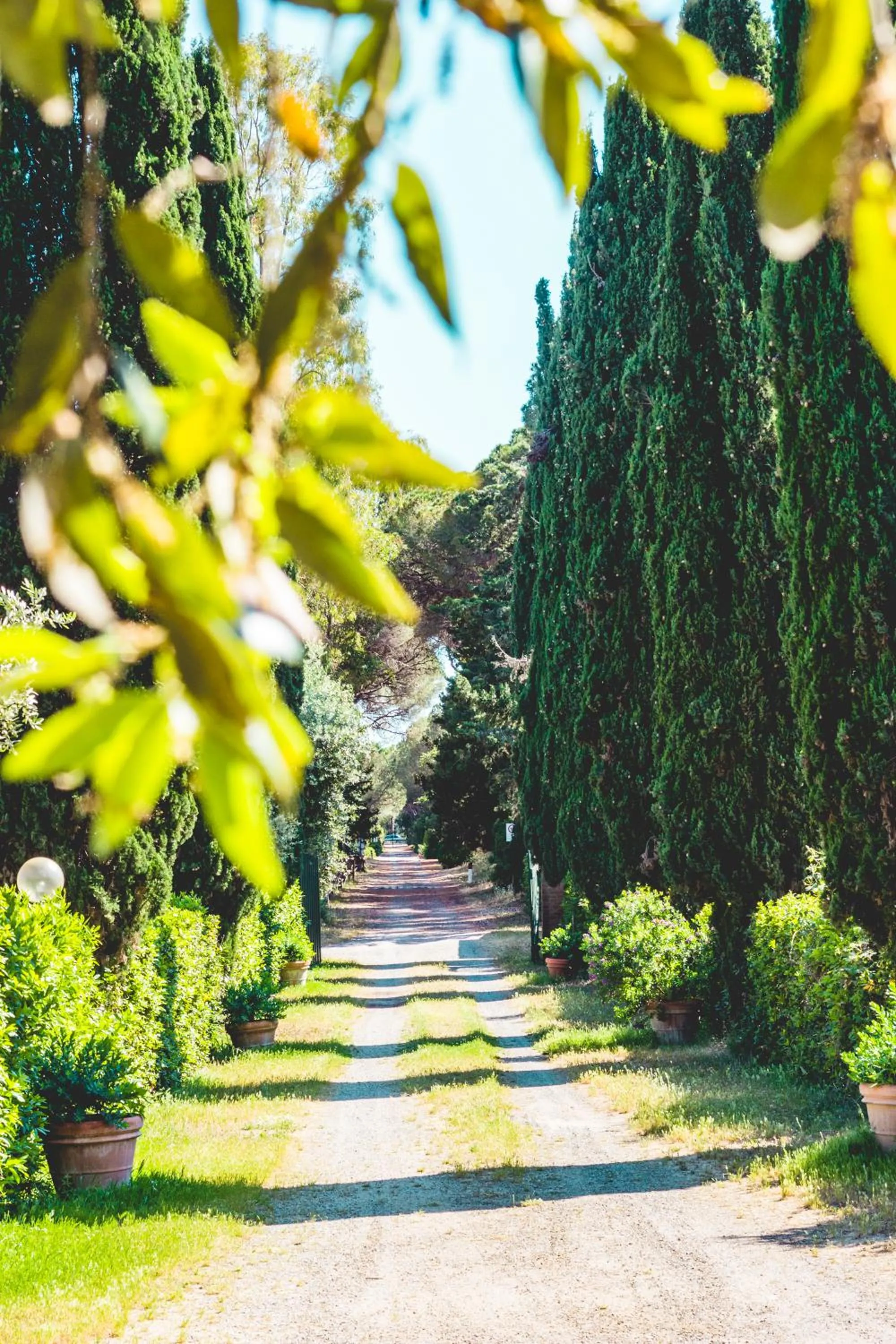 Garden in Residence La Canova II