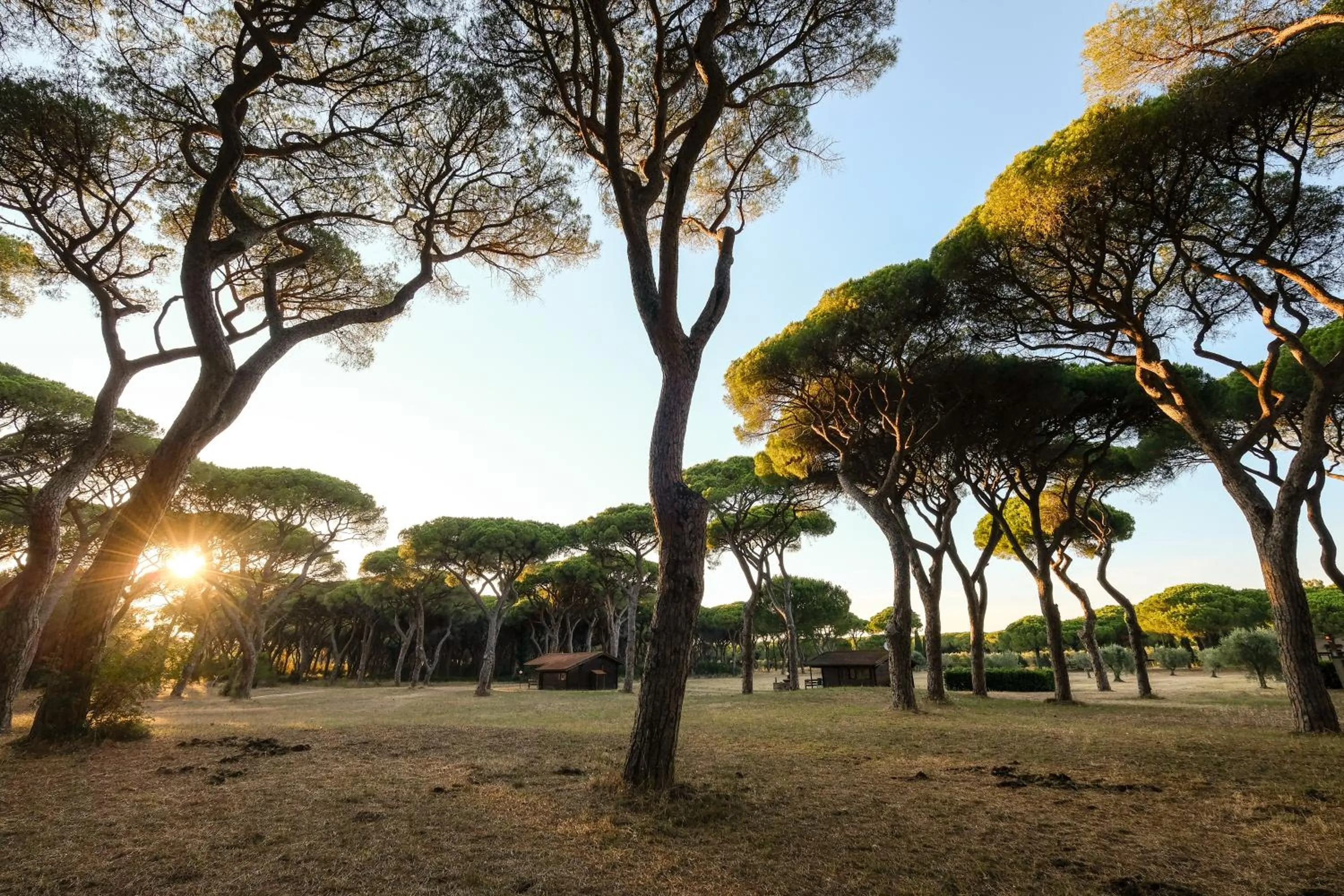 Other in Residence La Canova II