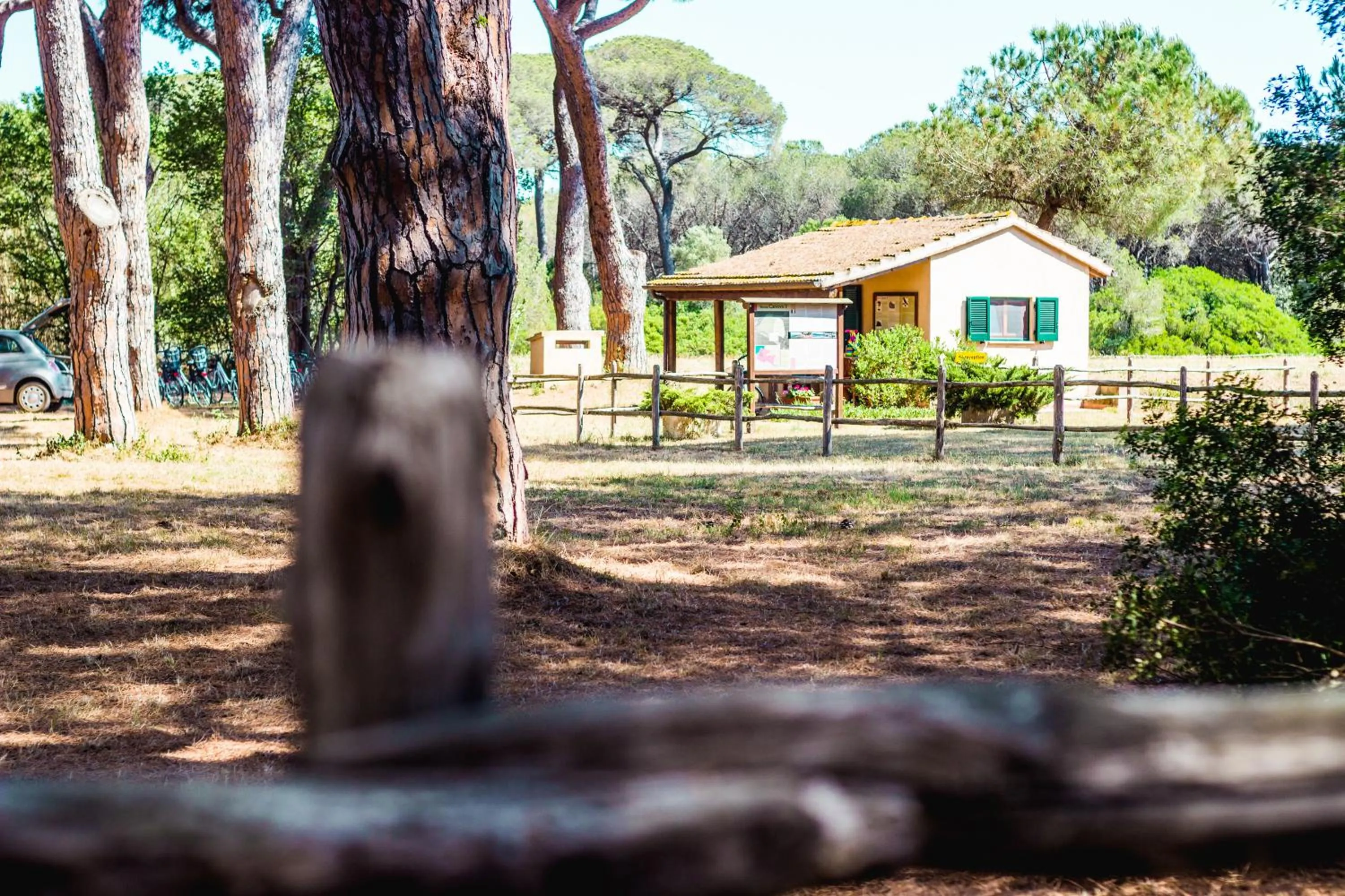 Lobby or reception in Residence La Canova II