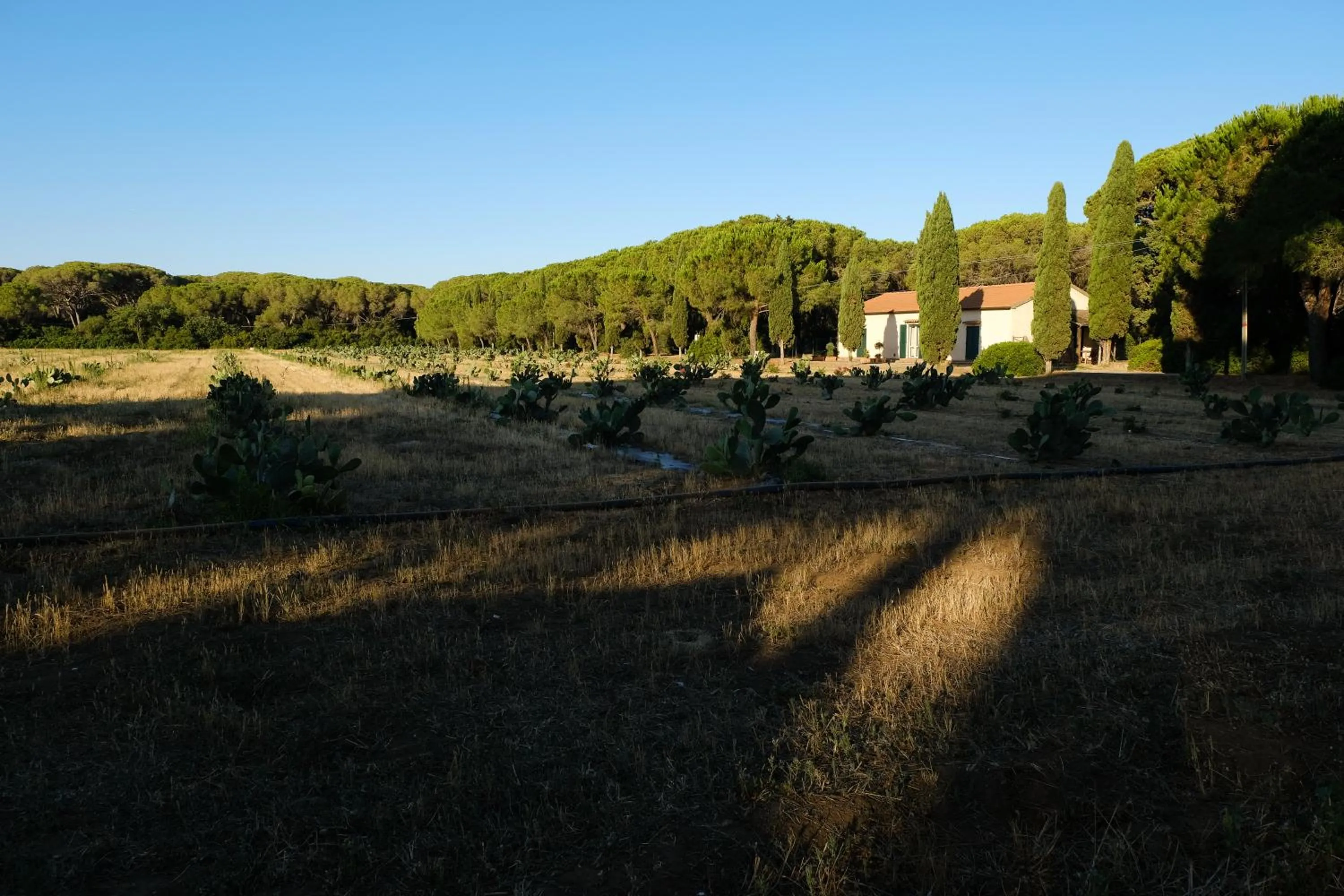 Other in Residence La Canova II