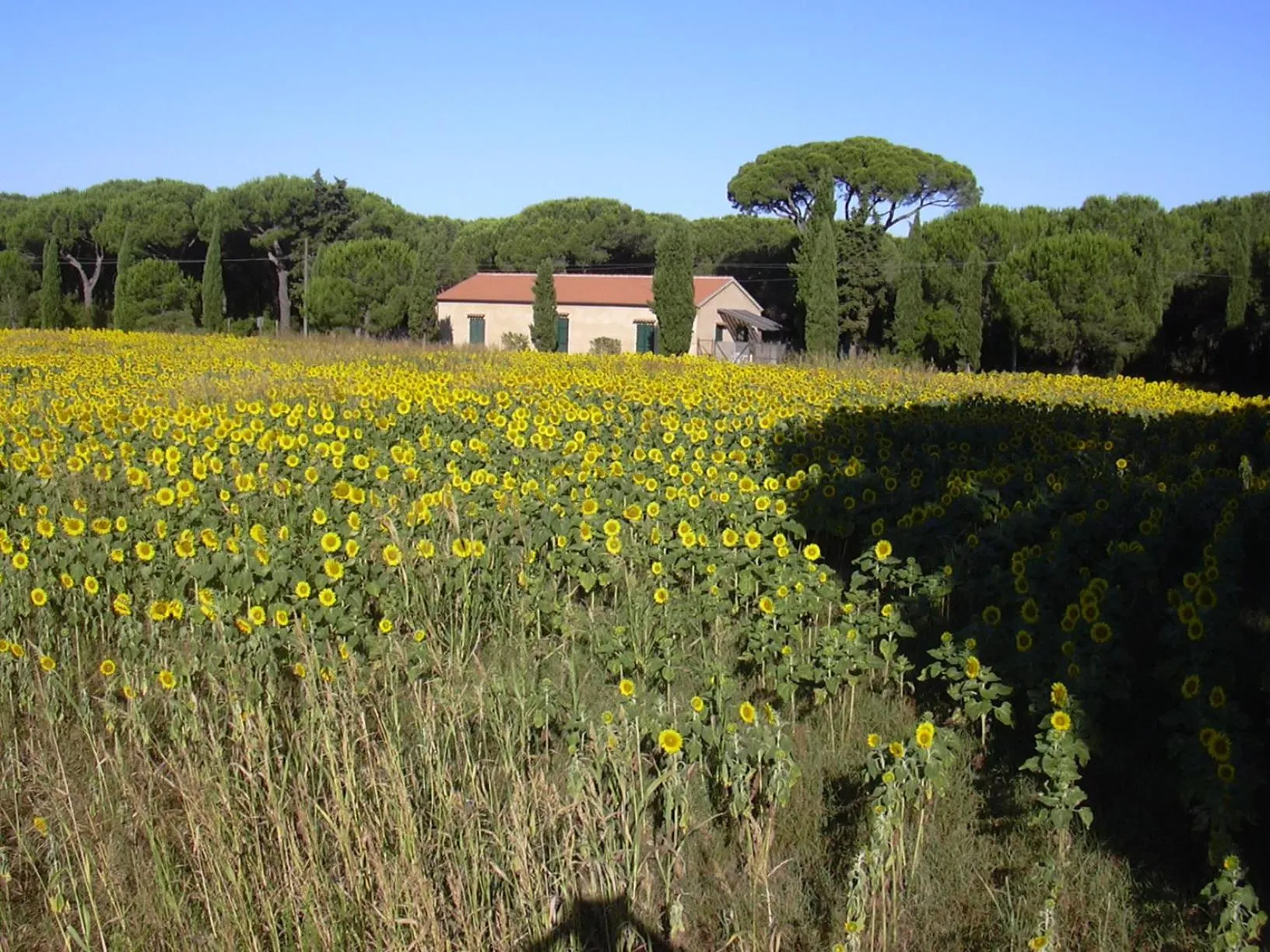 Natural landscape in Residence La Canova II