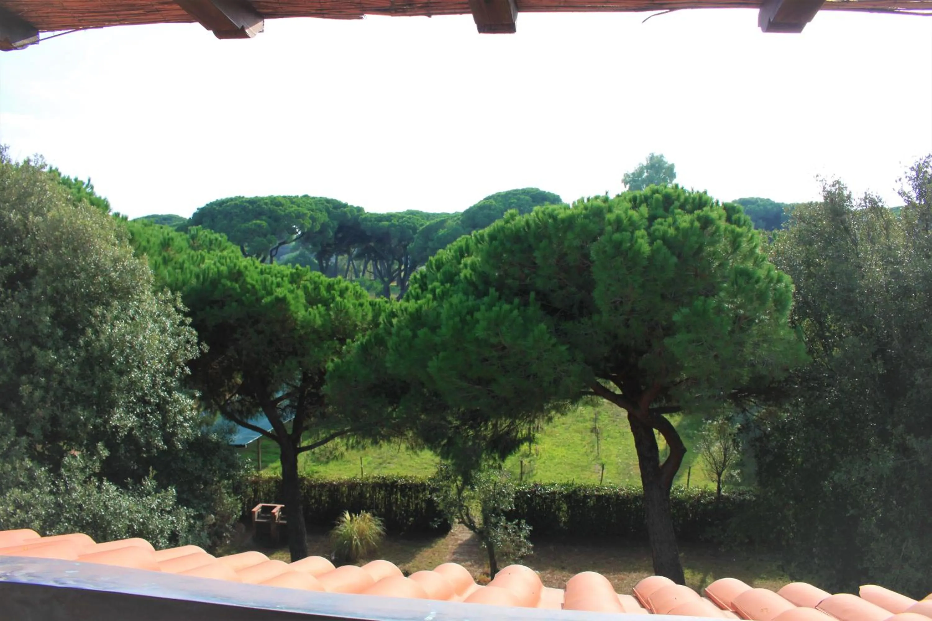 Balcony/Terrace in Residence La Canova II