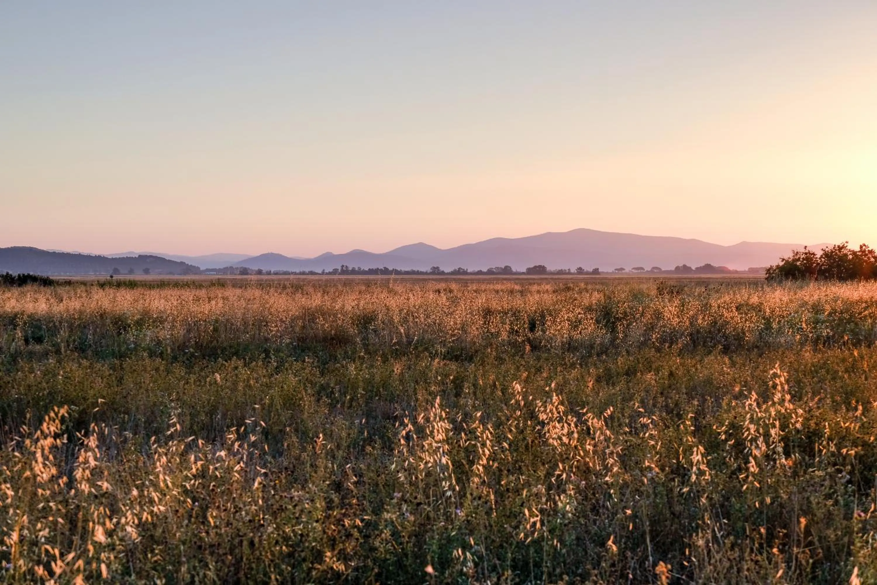 View (from property/room) in Residence La Canova II