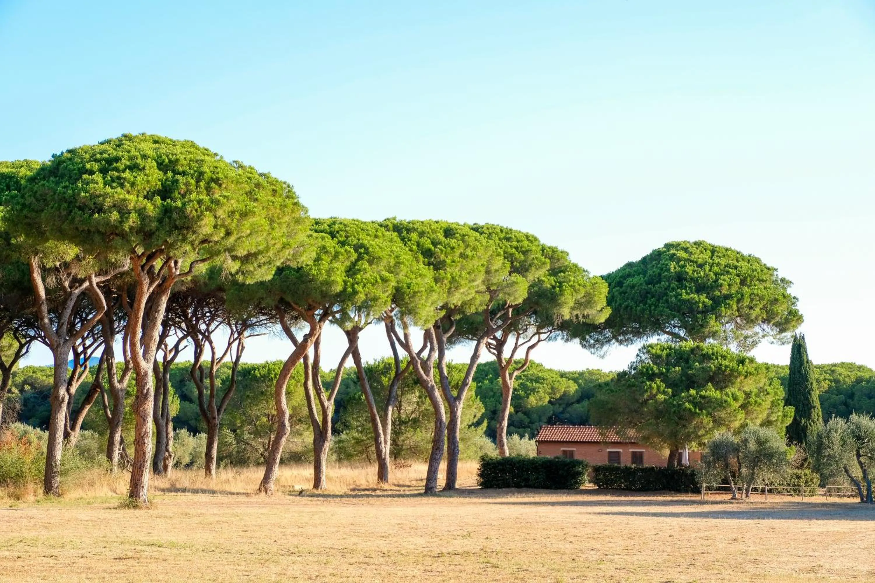 Property building in Residence La Canova II