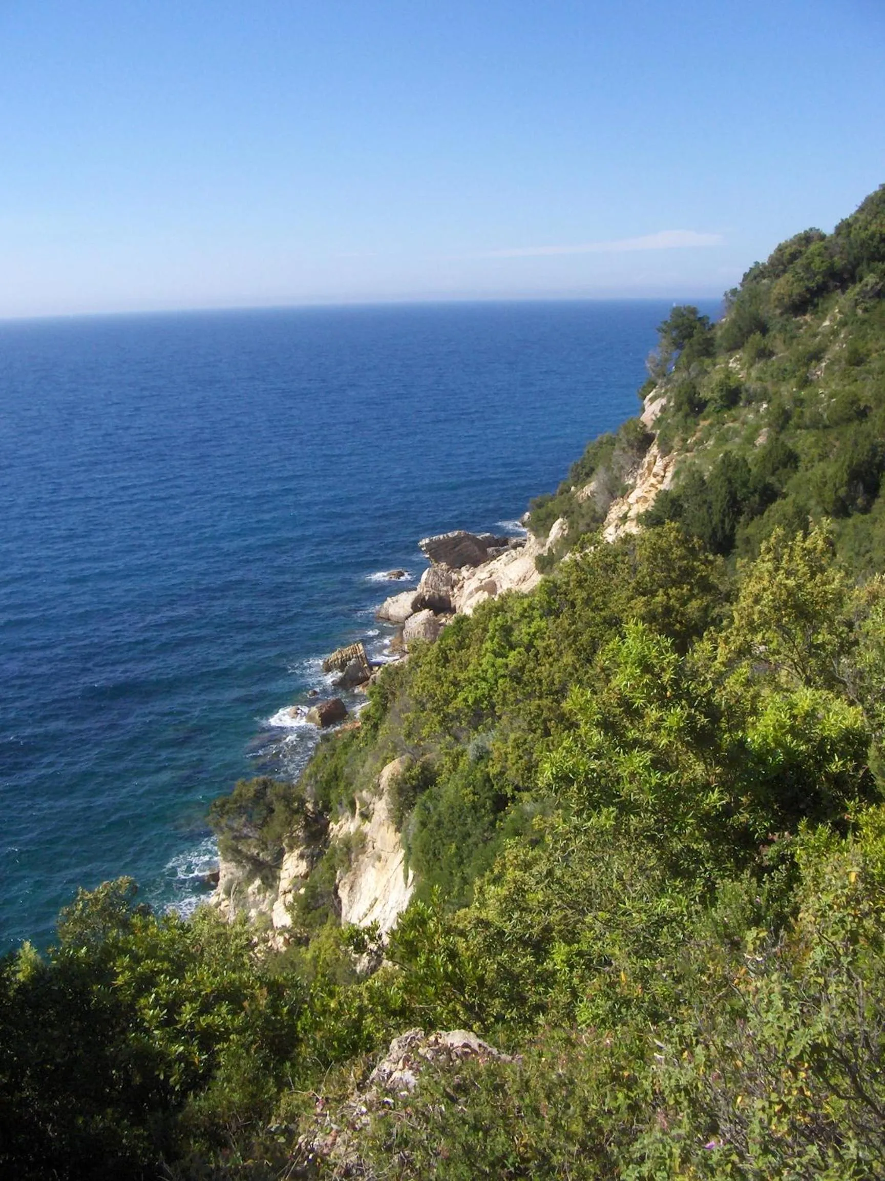 Off site in Cota Quinta