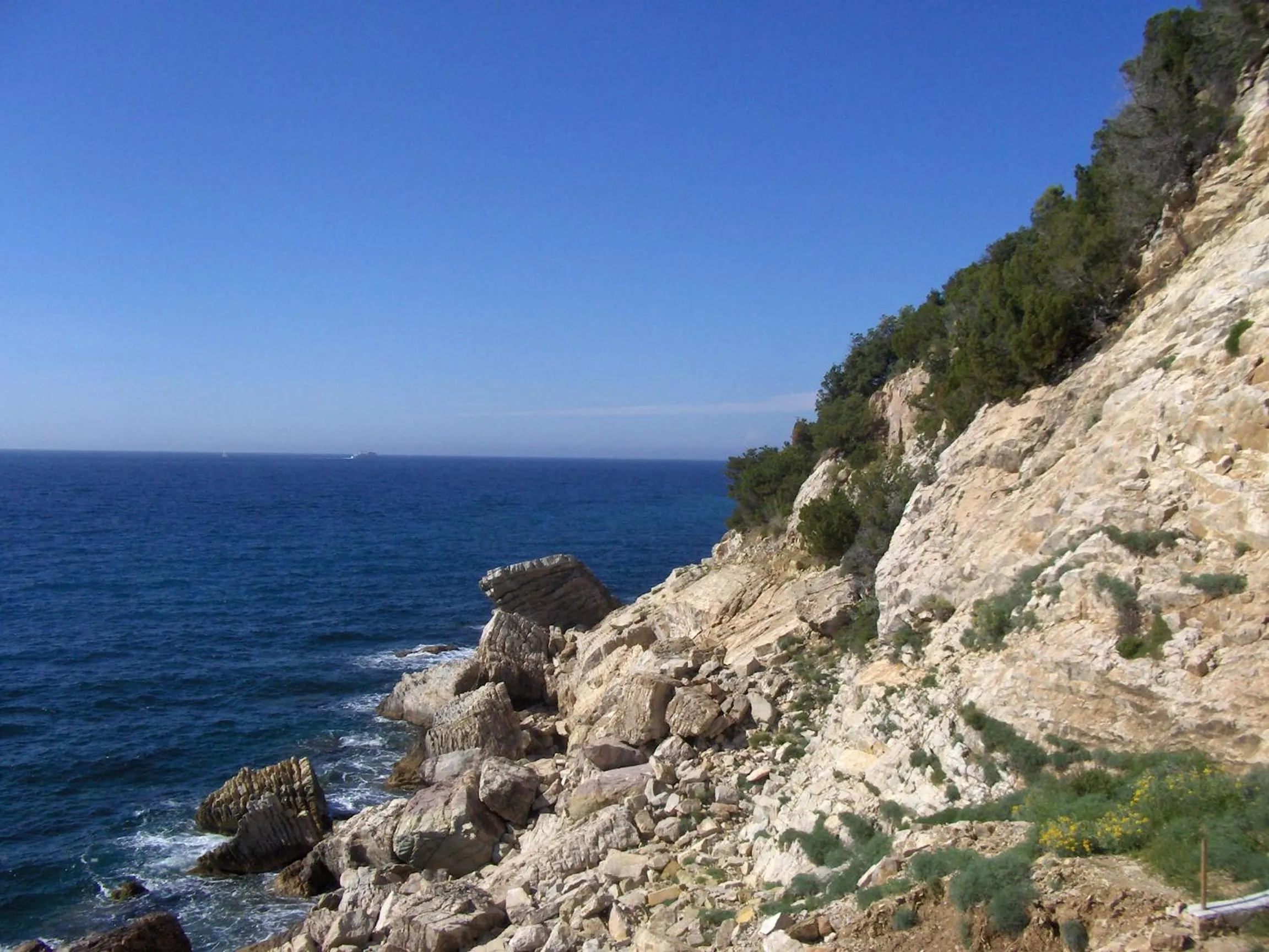 On site in Cota Quinta