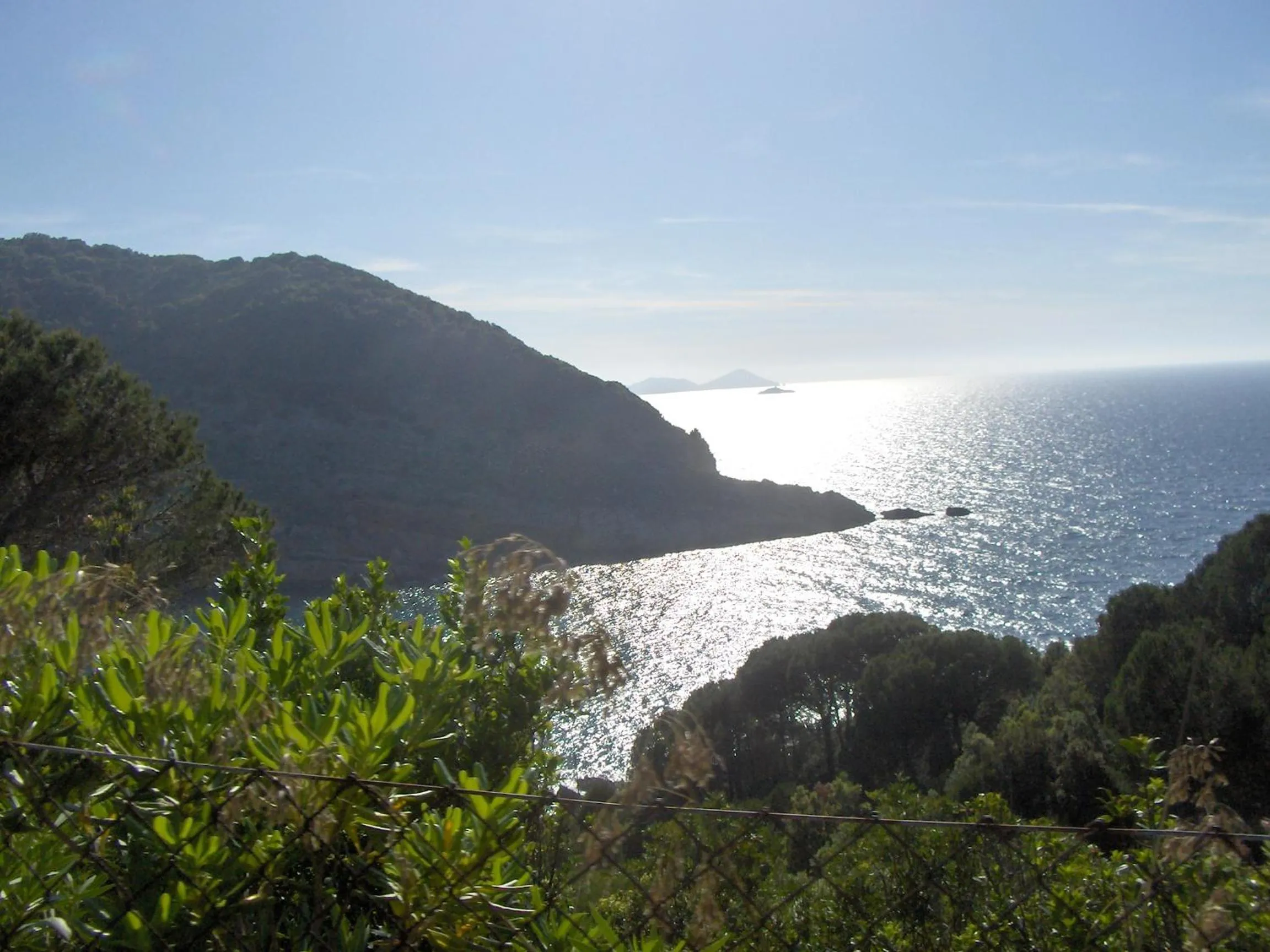 Off site in Cota Quinta