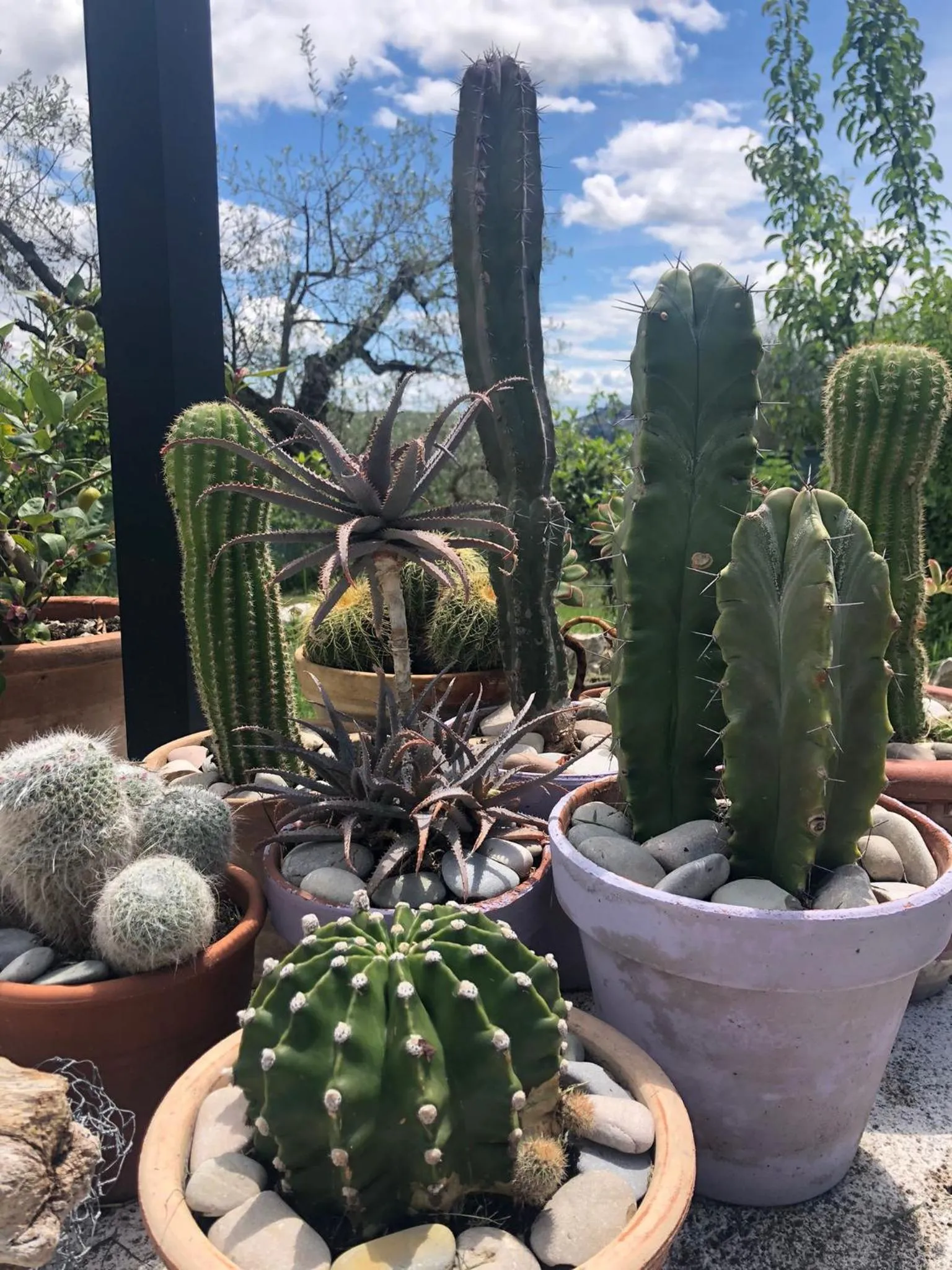 B&B and Wellness Il Pomario di Montepiglio Resort Naturista