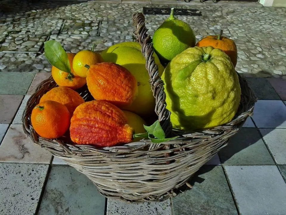 B&B and Wellness Il Pomario di Montepiglio Resort Naturista