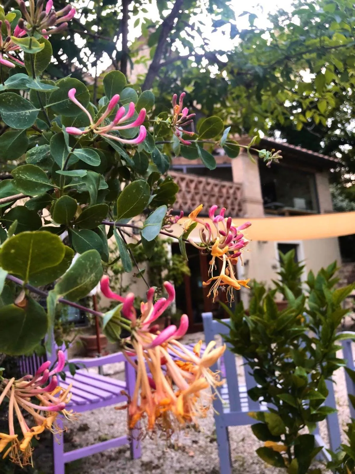 B&B and Wellness Il Pomario di Montepiglio Resort Naturista