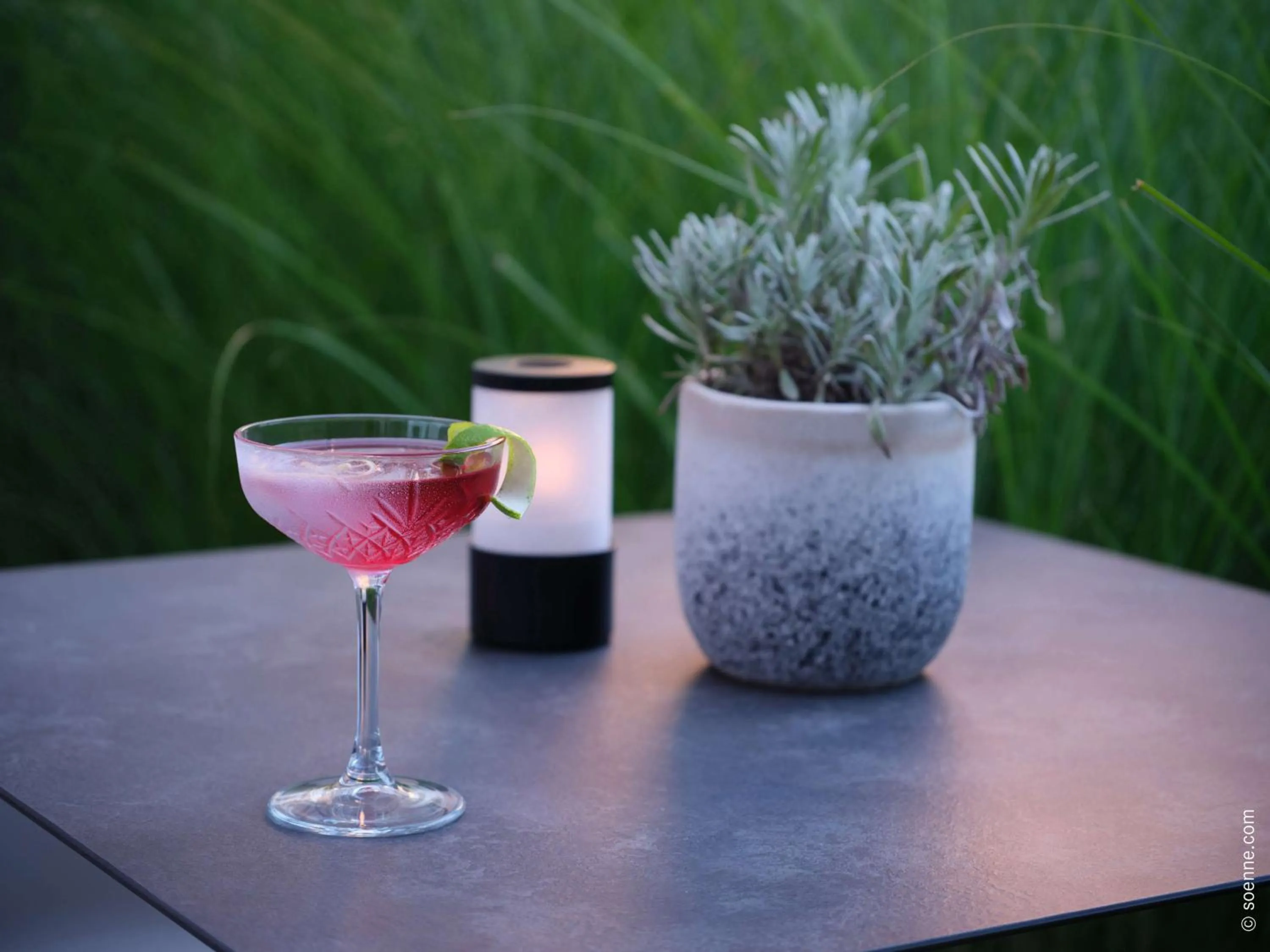 Lounge or bar in Dorint Parkhotel Frankfurt / Bad Vilbel