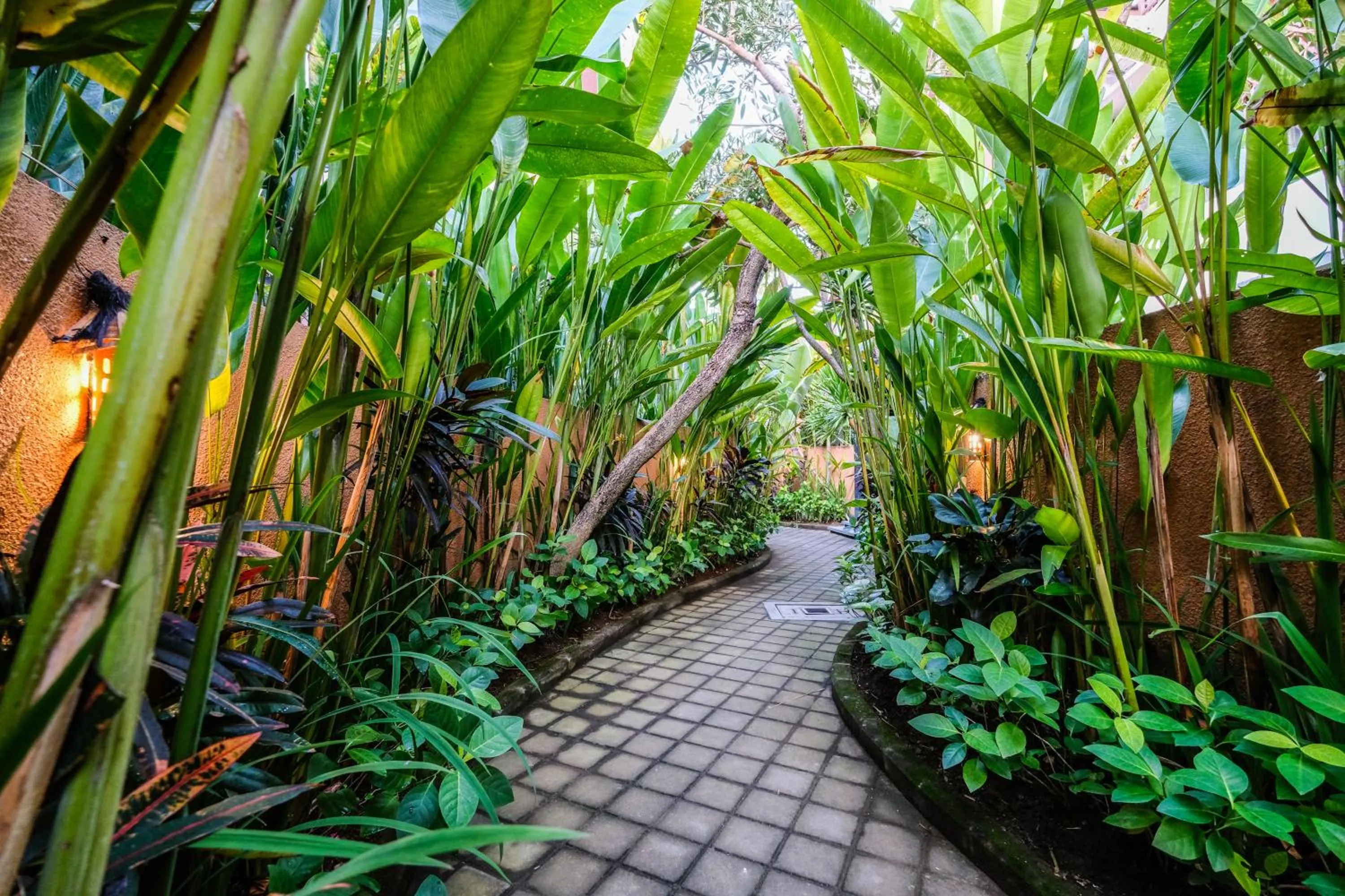 Garden in Papillon Umalas Villas