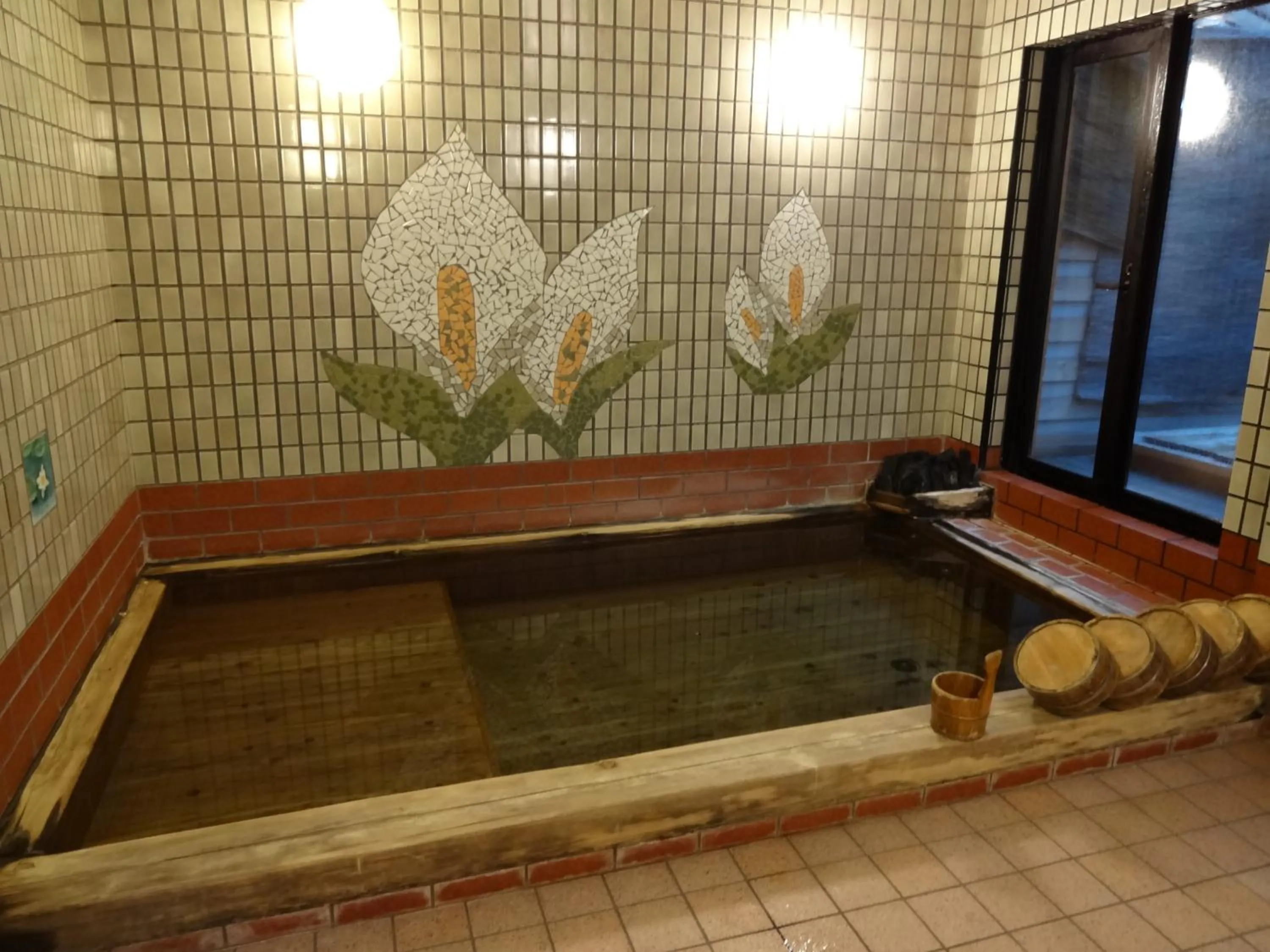 Hot Spring Bath in Mizubasho no Yado Higashi