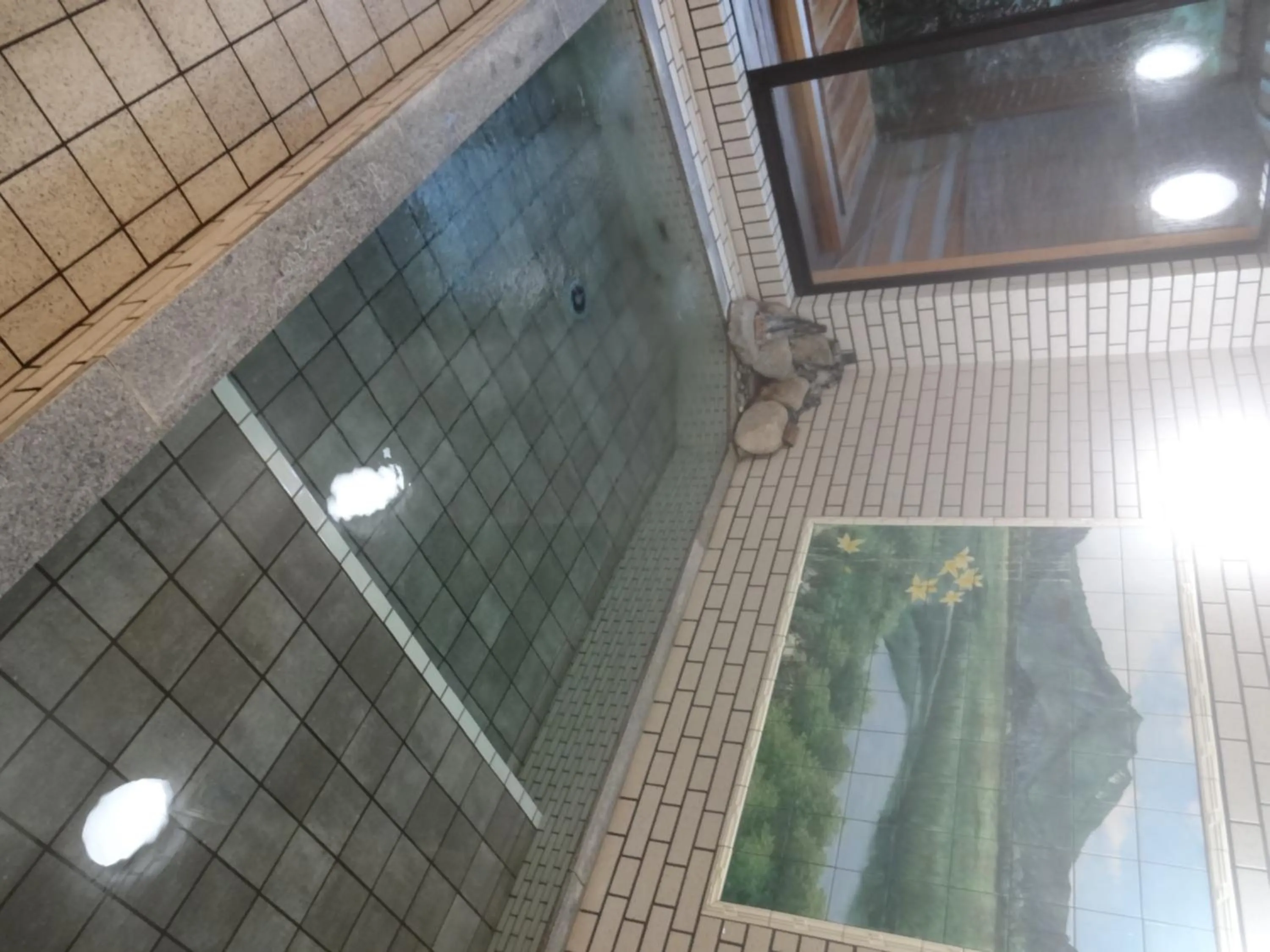 Hot Spring Bath in Mizubasho no Yado Higashi