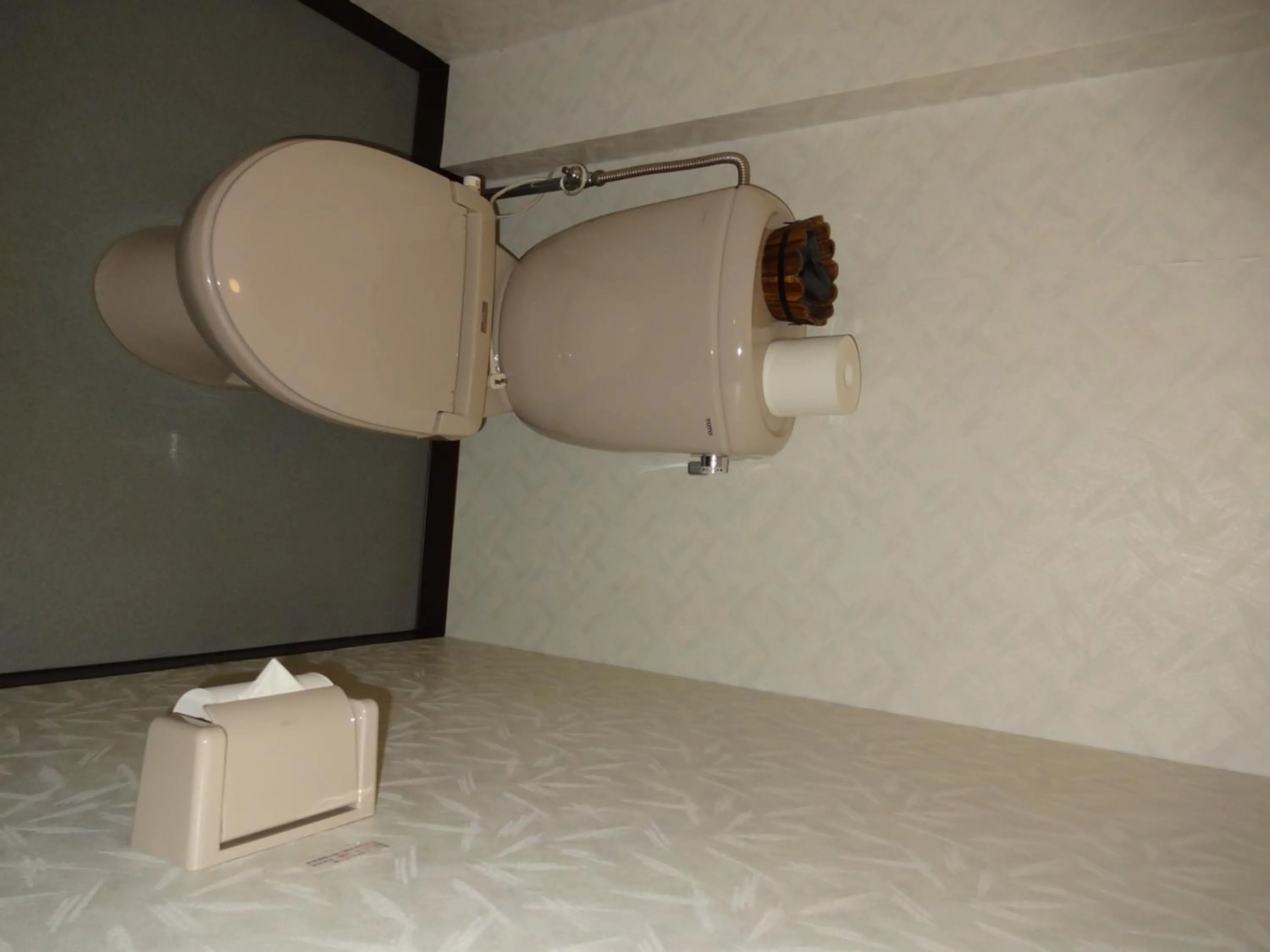 Toilet in Mizubasho no Yado Higashi