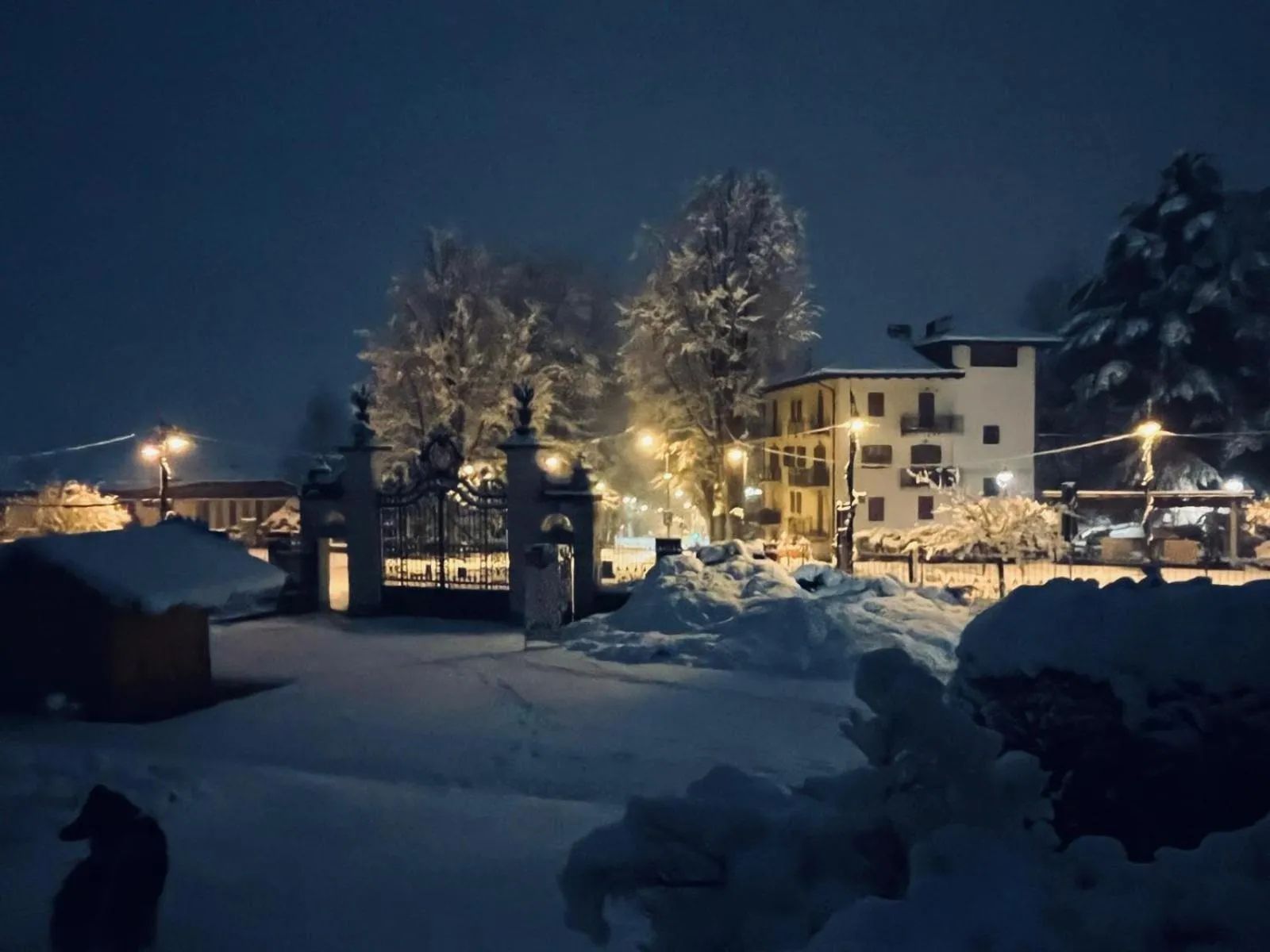Terme Apartment Levico