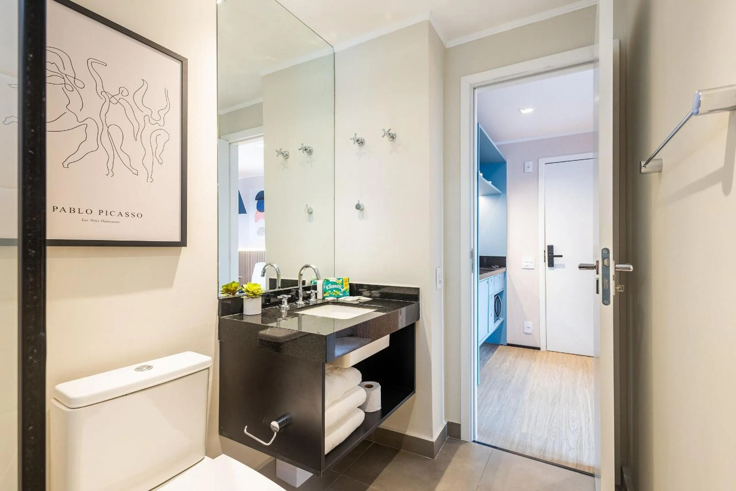 Toilet in Housi Paulista