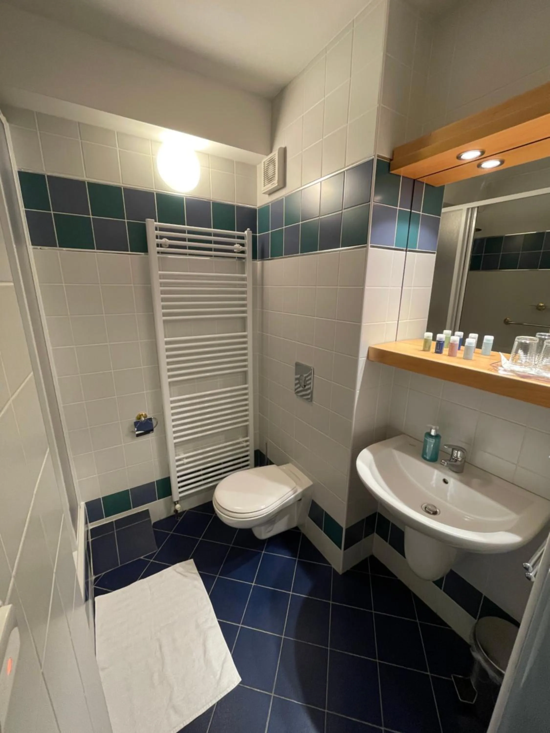 Bathroom in Hotel Laguna & restaurant
