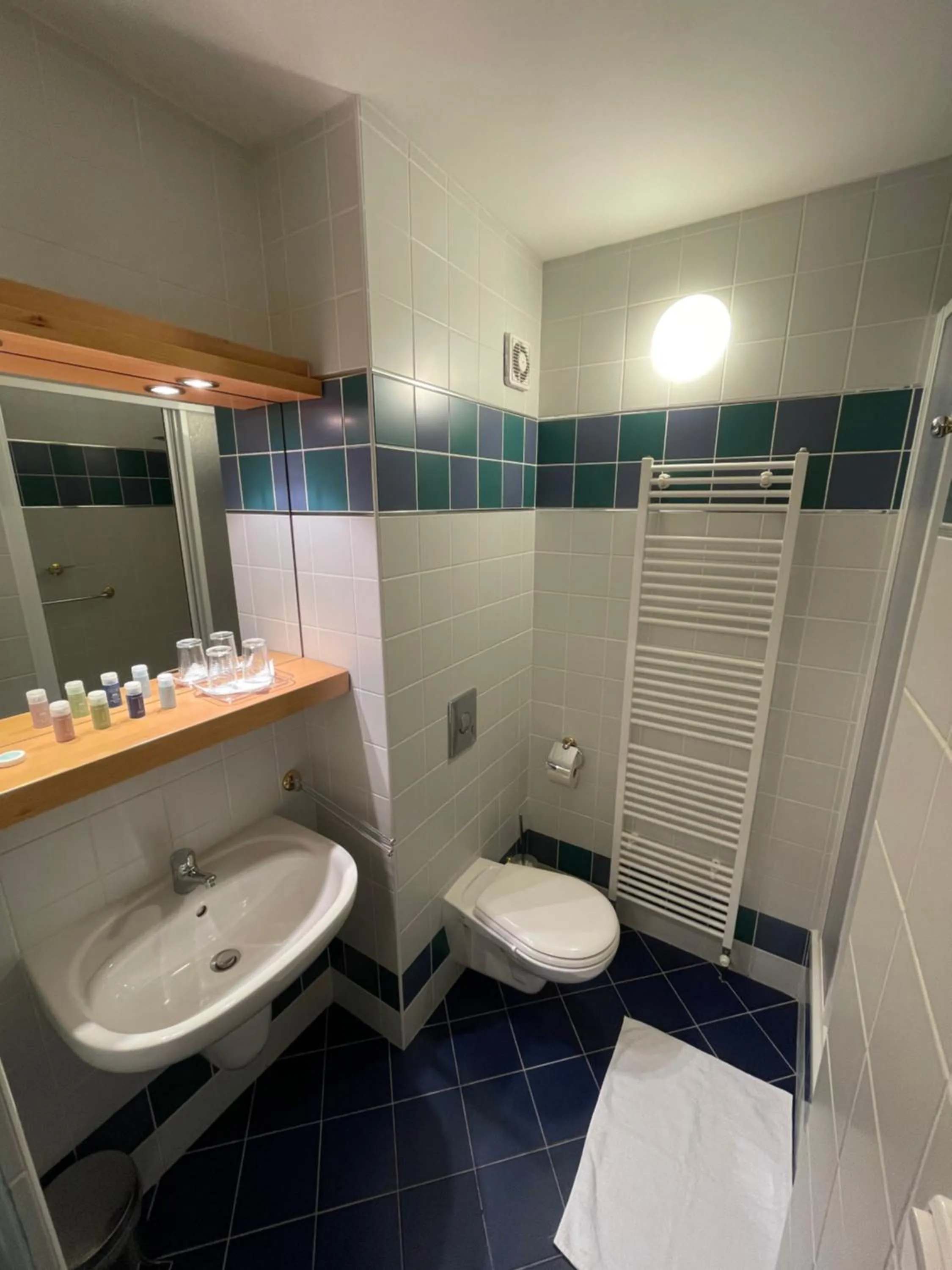Bathroom in Hotel Laguna & restaurant