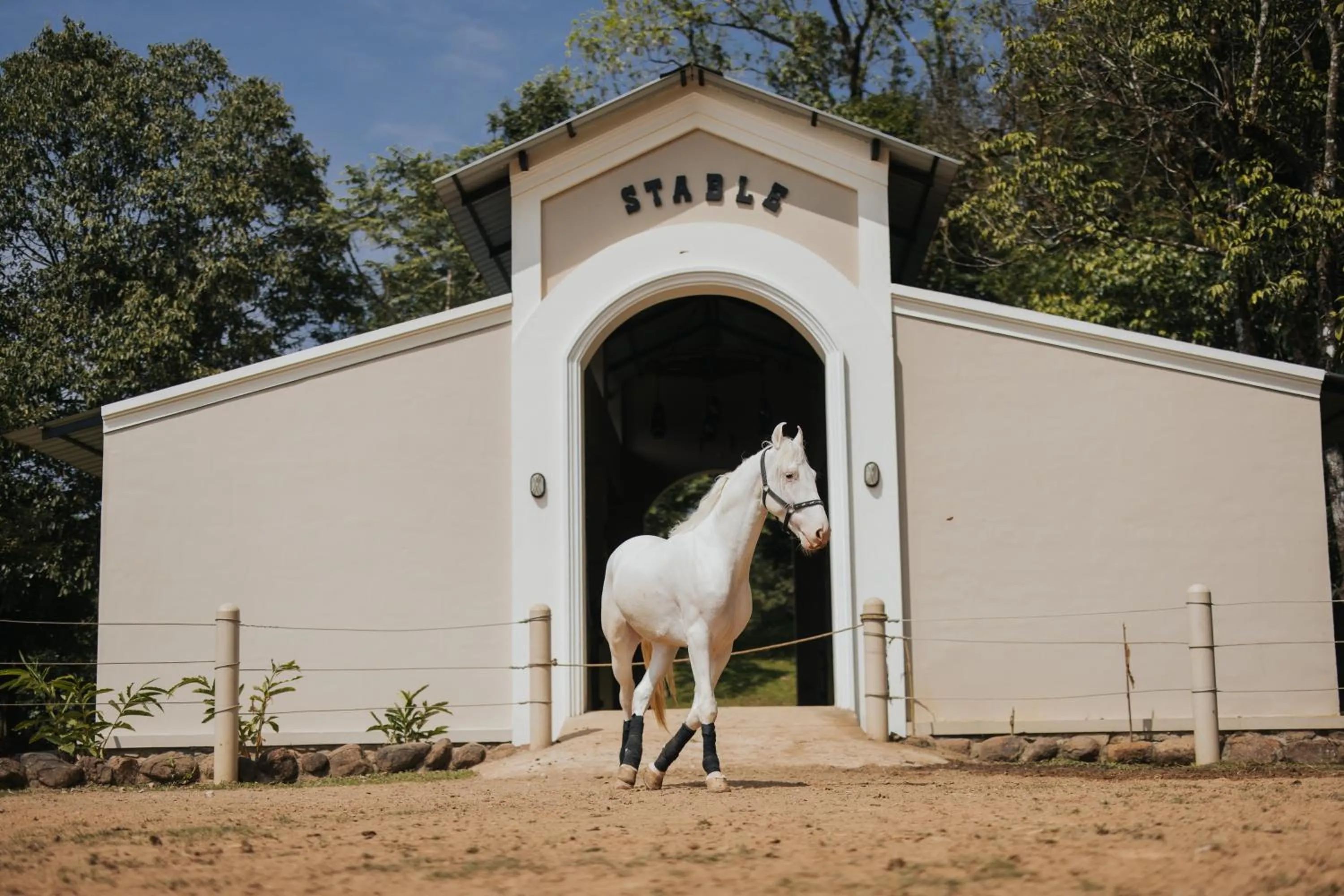 Horse-riding in Montrose Golf Resort and Spa - Coorg