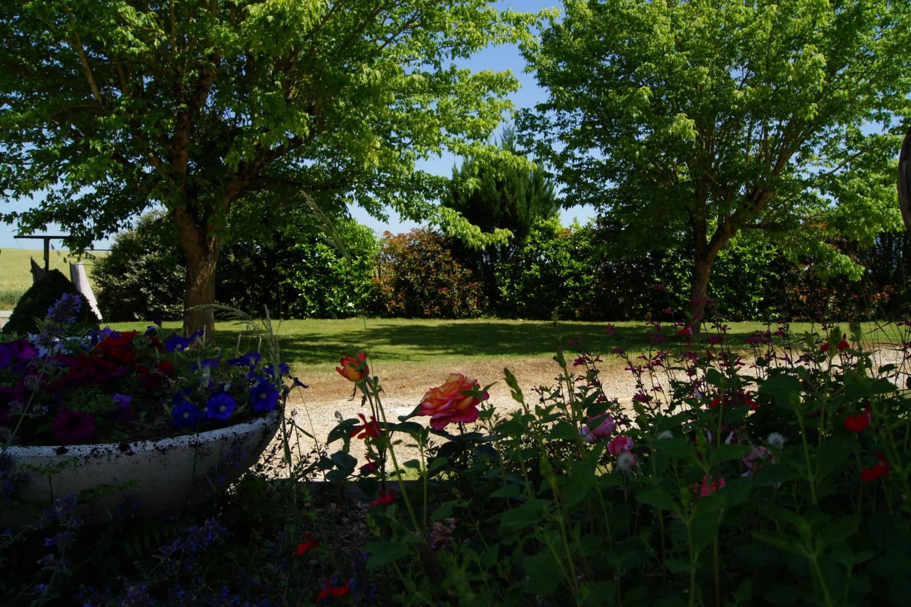Garden in Chambres d hôtes de la Mauguinière