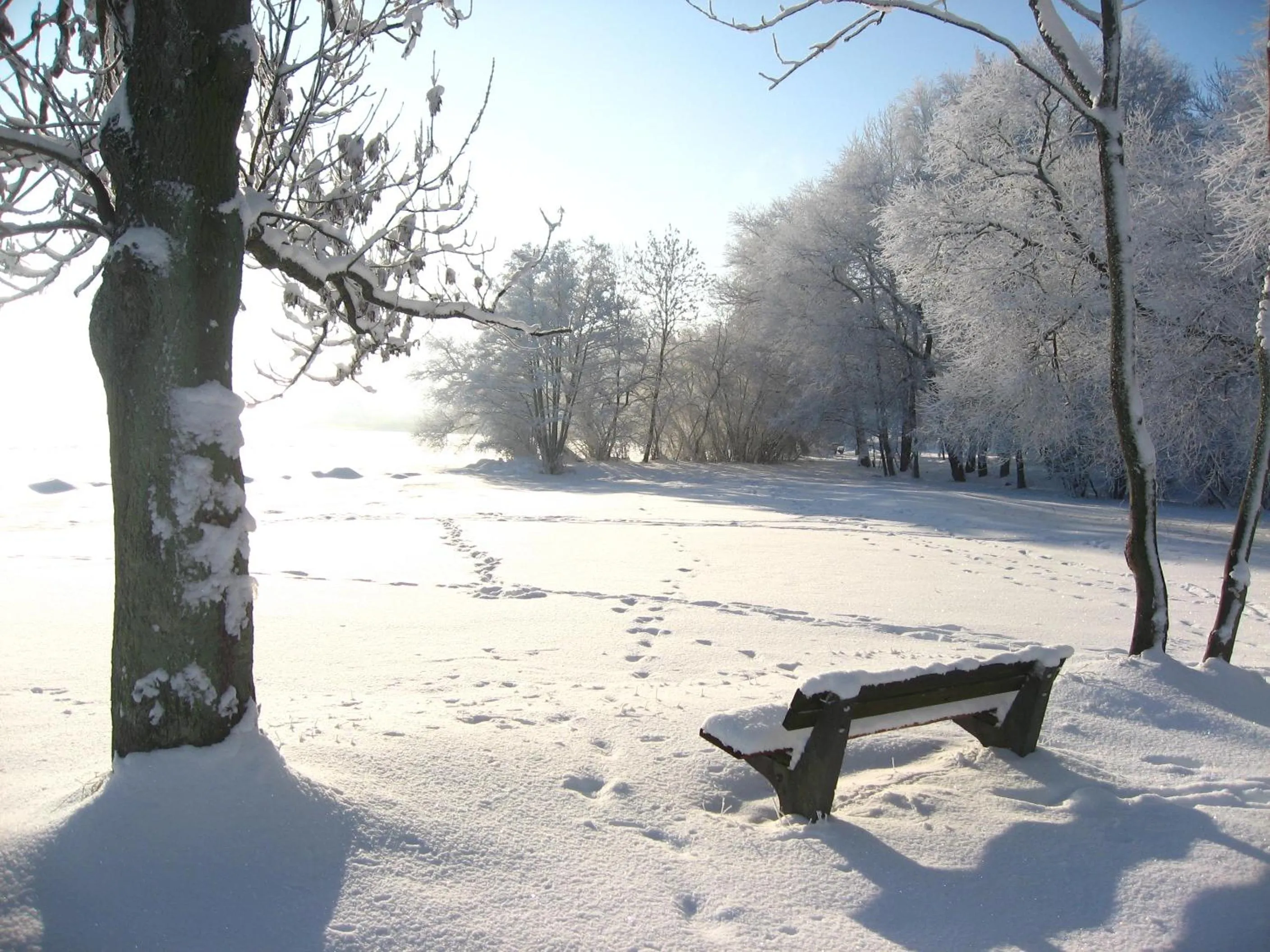Natural landscape in Seehotel Schloss Klink