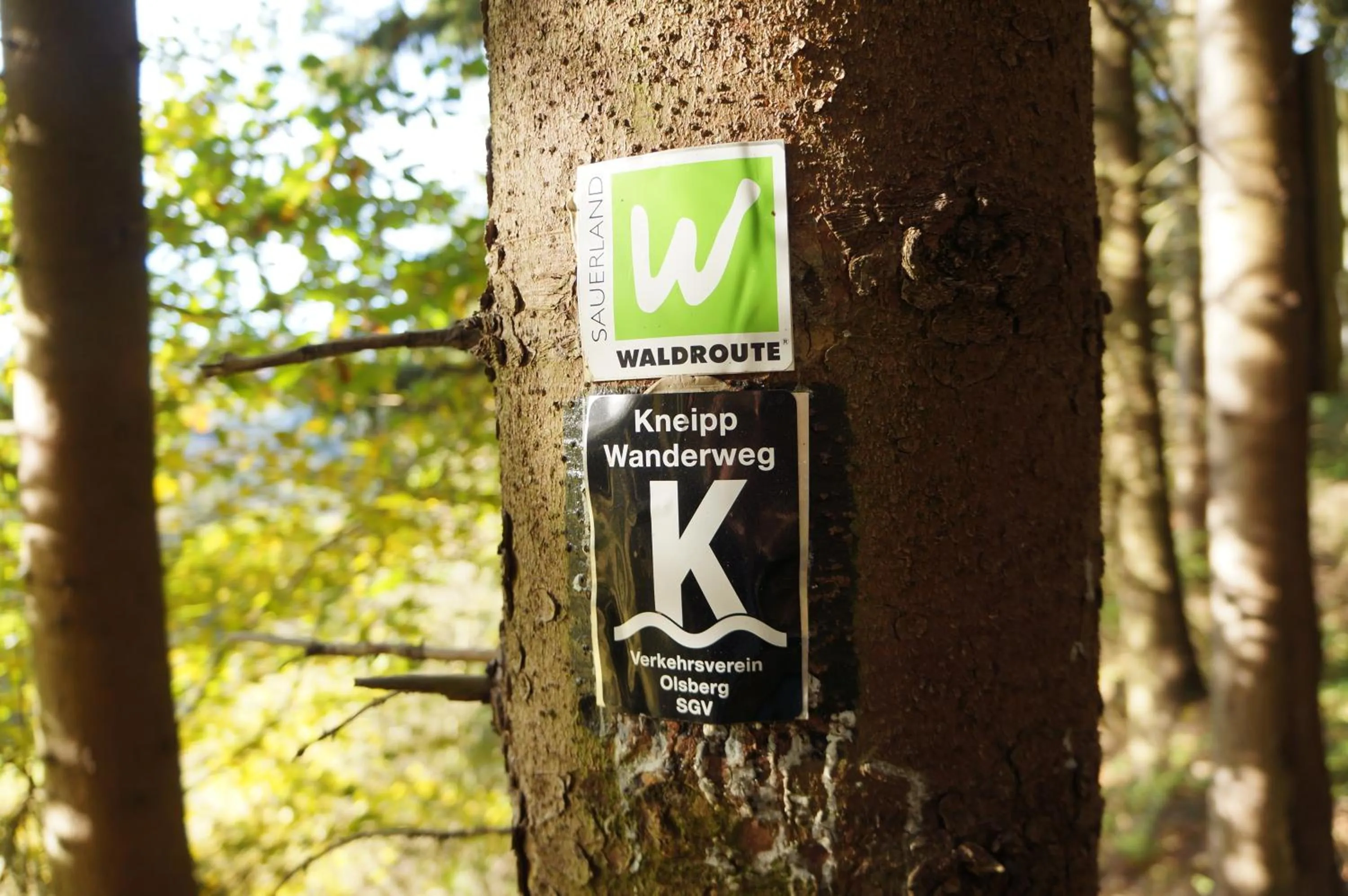 Hiking in Waldhotel Schinkenwirt